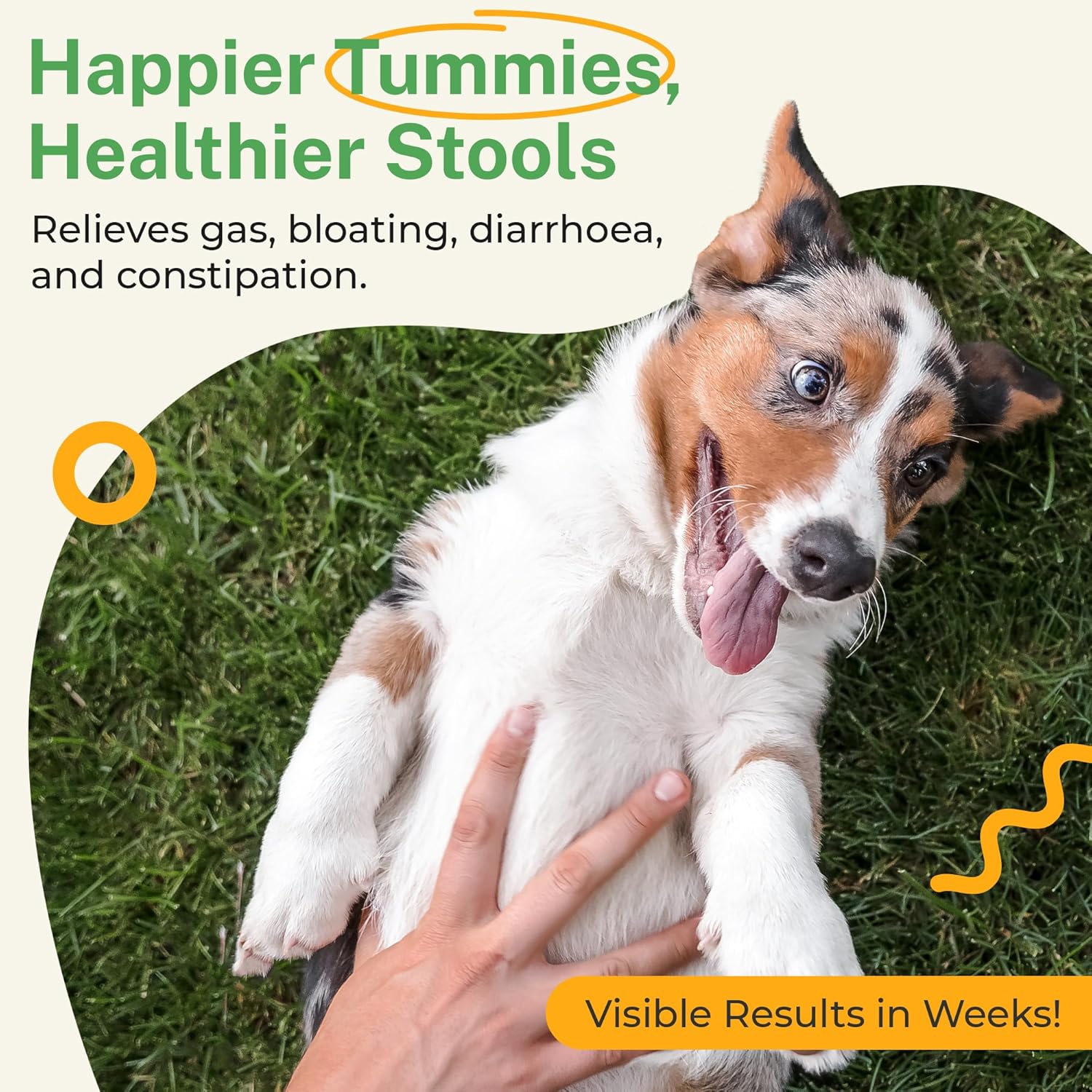 Grain-Free Probiotic Powder for Dogs - Supports Digestive Health, Immunity & Oral Care - Reduces Allergies, Paw Licking & Yeast Infections - 5.4 oz - 90 Servings