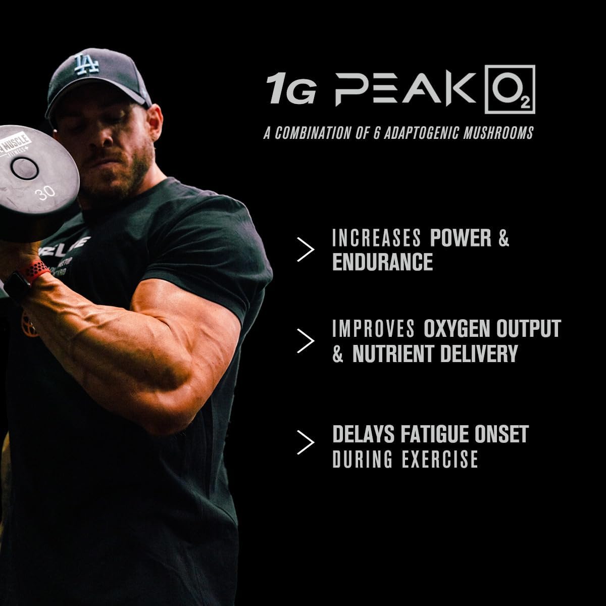 Grape Nitrosurge Pre-Workout & Build XT Muscle Builder Bundle for Men and Women by Jacked Factory
