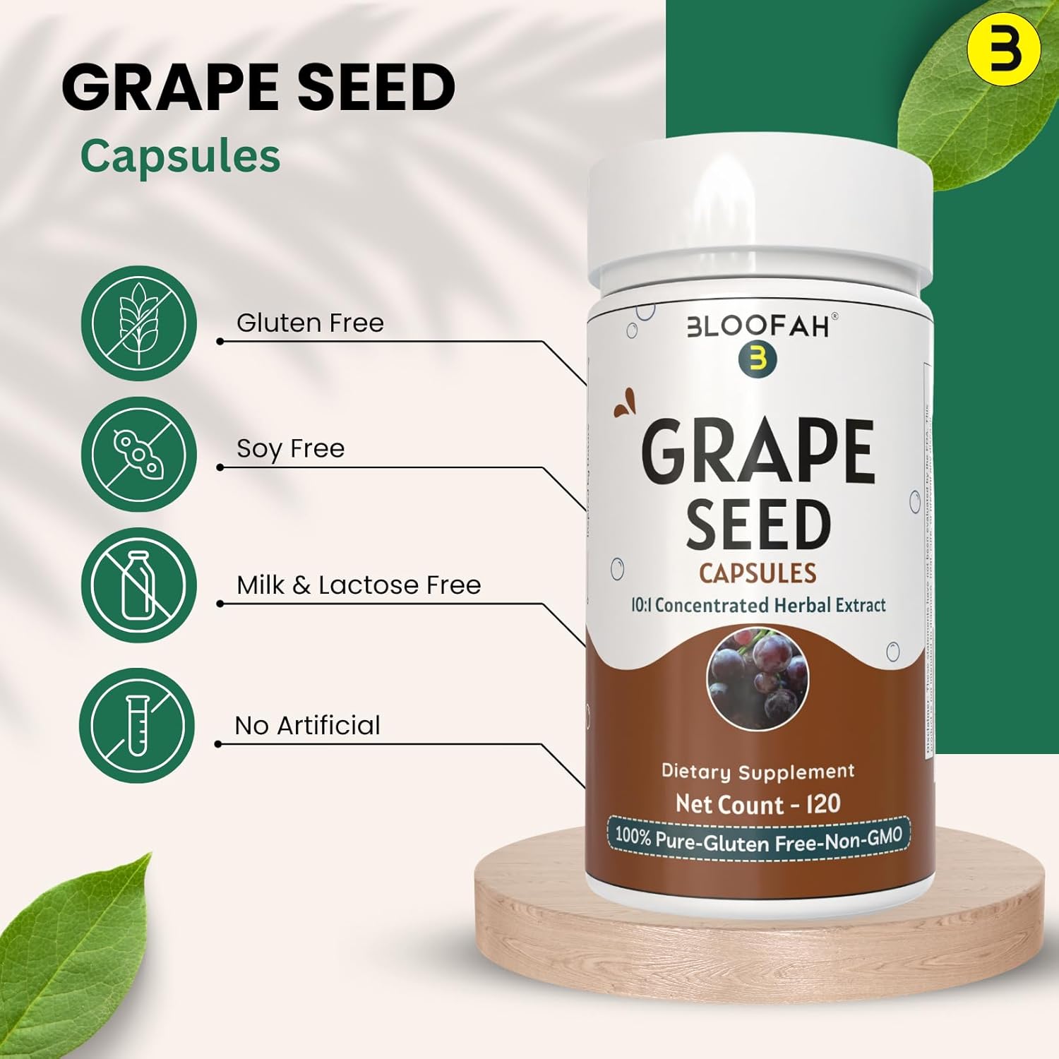Grape Seed Capsules 500mg | Powerful Vitis Vinifera Seed Extract | Herbal Supplement | Non-GMO, Gluten-Free (120 Count)