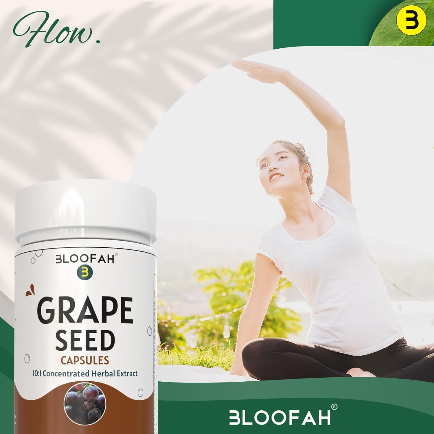 Grape Seed Capsules 500mg | Powerful Vitis Vinifera Seed Extract | Herbal Supplement | Non-GMO, Gluten-Free (120 Count)