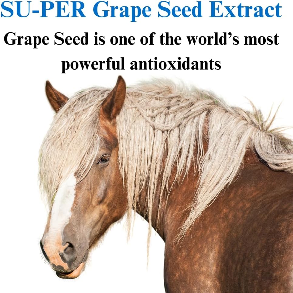 Grape Seed Extract Equine Antioxidant Supplement for Performance Horses - Supports Circulation, Respiratory Health & Immune System - 2.5 lbs (2 Pack)