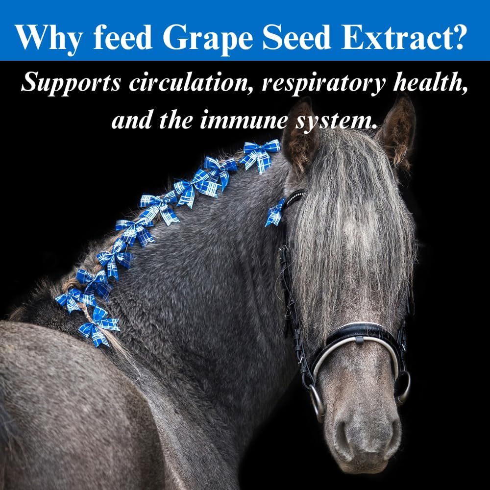 Grape Seed Extract Equine Antioxidant Supplement for Performance Horses - Supports Circulation, Respiratory Health & Immune System - 2.5 lbs (2 Pack)