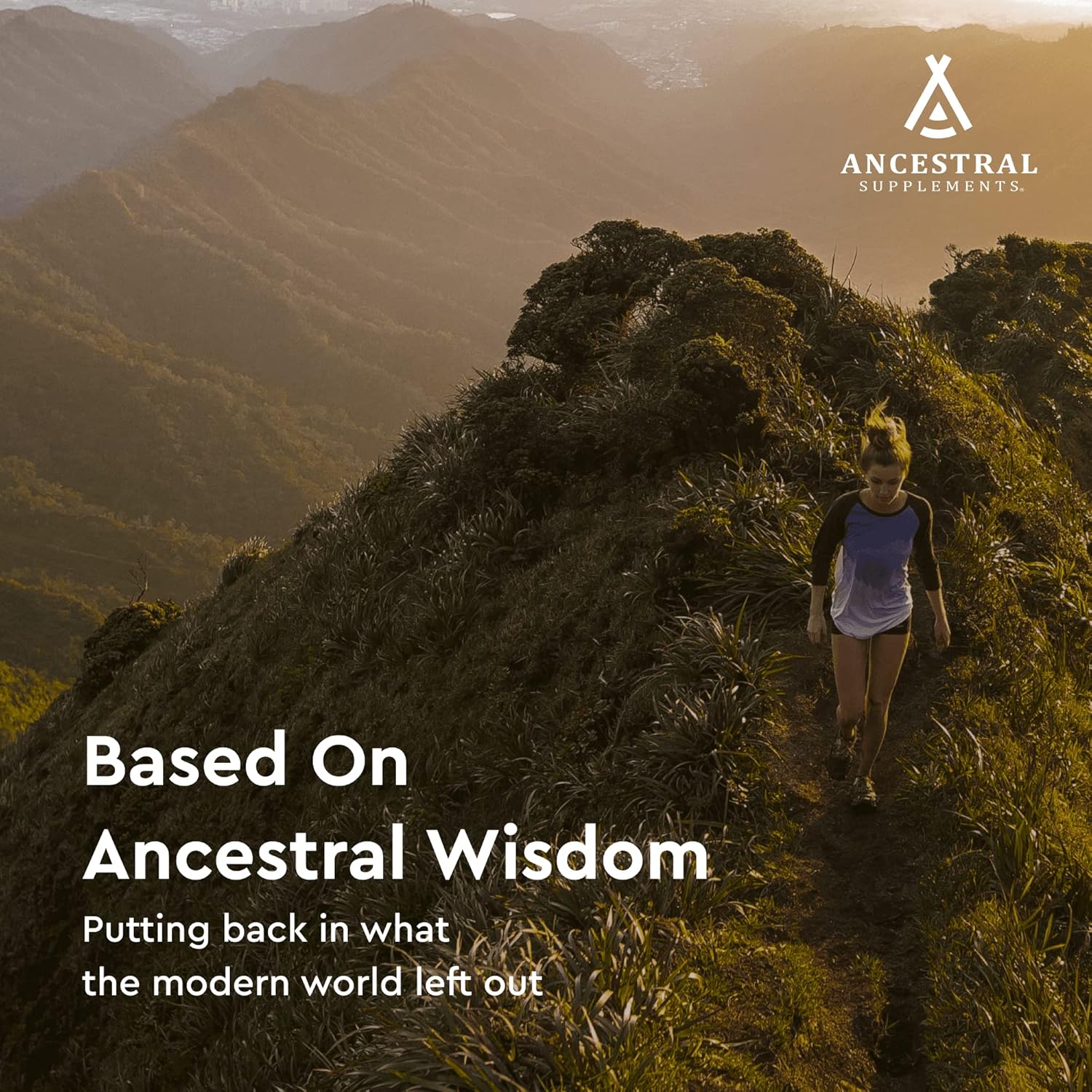 Grass Fed Beef Gallbladder Supplements with Ox Bile and Liver - 1000mg, 180 Capsules for Digestive Health & Bile Flow