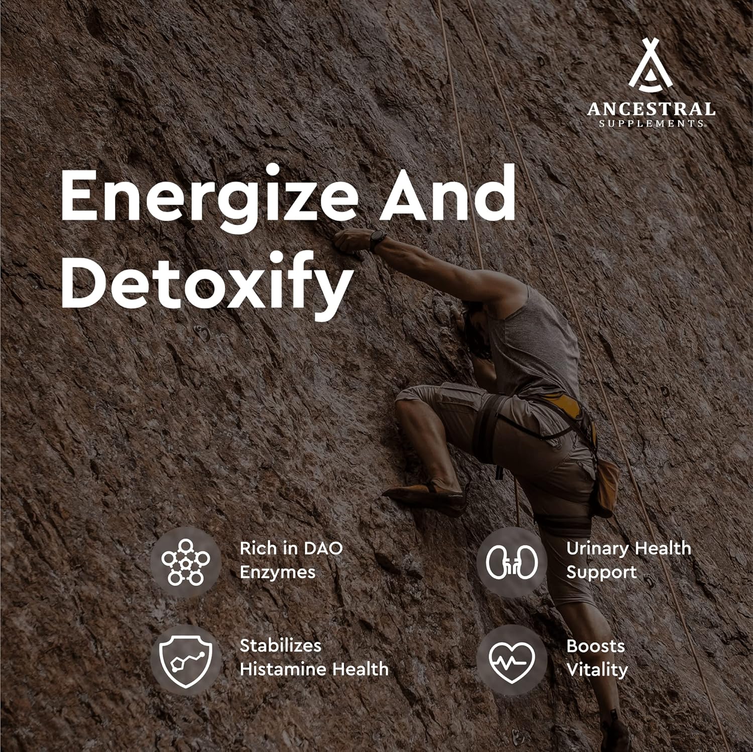 Grass Fed Beef Kidney Supplement 3000mg with DAO Enzyme for Urinary and Histamine Health - Selenium, B12, Non GMO - 180 Capsules