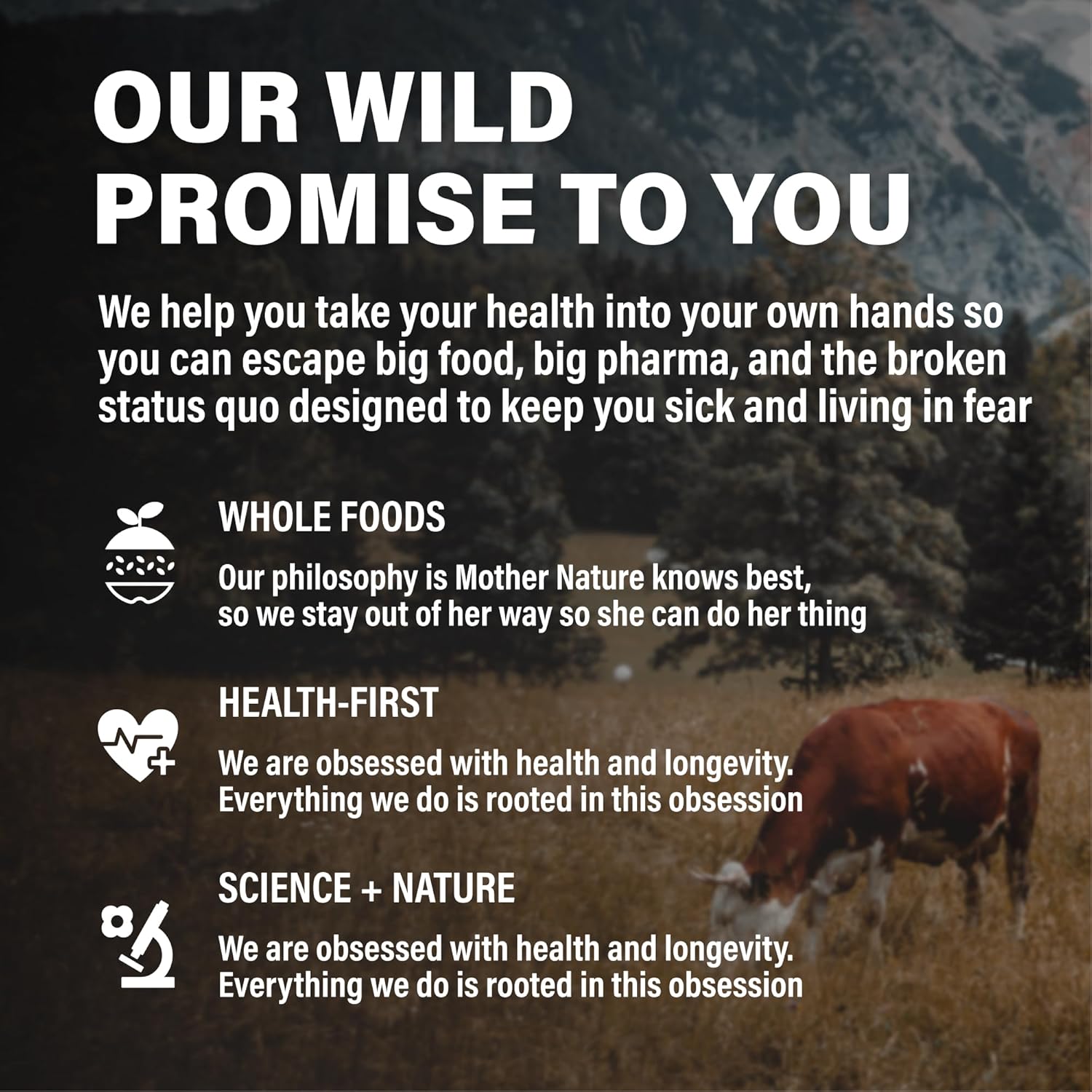 Grass-Fed Beef Liver Capsules - 3000mg Ancestral Supplement for Energy & Immune Support - Organ Supplement for Men & Women - Keto, Paleo, Carnivore - 120 Softgels