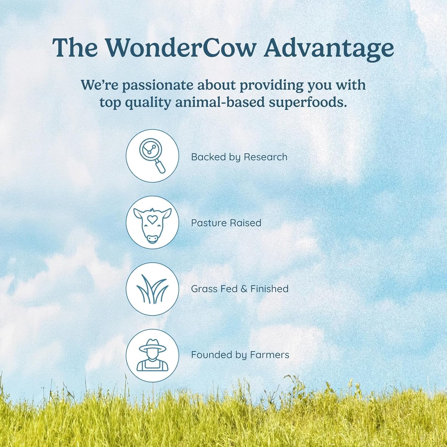 Grass Fed Beef Liver Capsules - Natural Protein & Iron Source, Energy & Immunity Booster | USA Grown, Non-GMO, Gluten Free - Wondercow