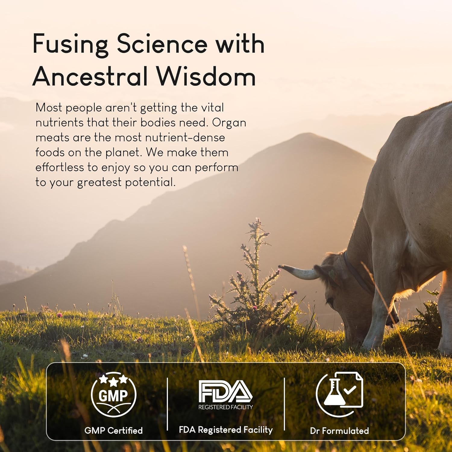 Grass-Fed Beef Organ Supplement for Men & Women - 9 Organ Complex, Including Liver, Brain, Thymus, Lung, Gallbladder