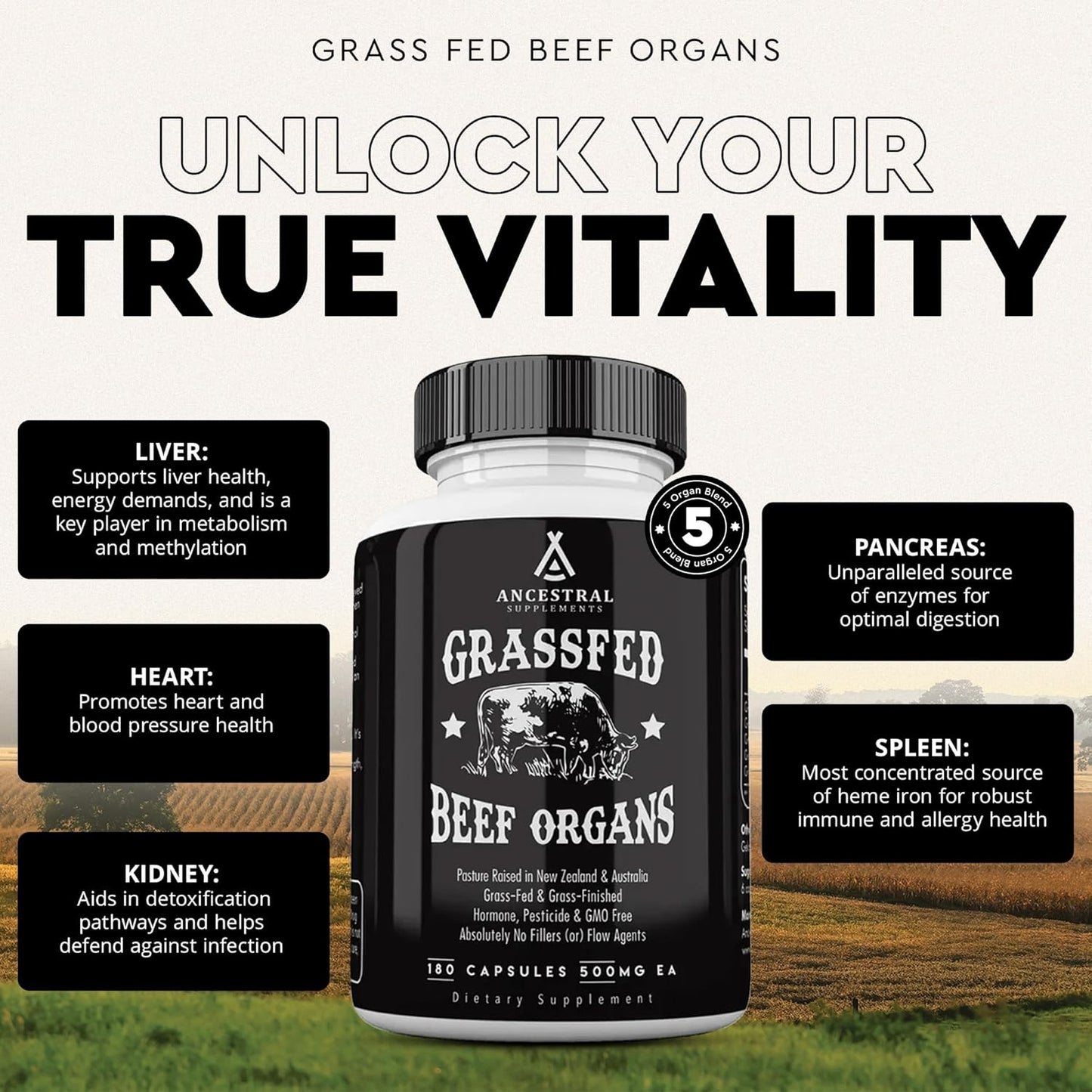 Grass Fed Beef Organ Supplement for Whole Body Wellness - Liver, Heart, Kidney, Pancreas, Spleen - Non-GMO, 180 Capsules