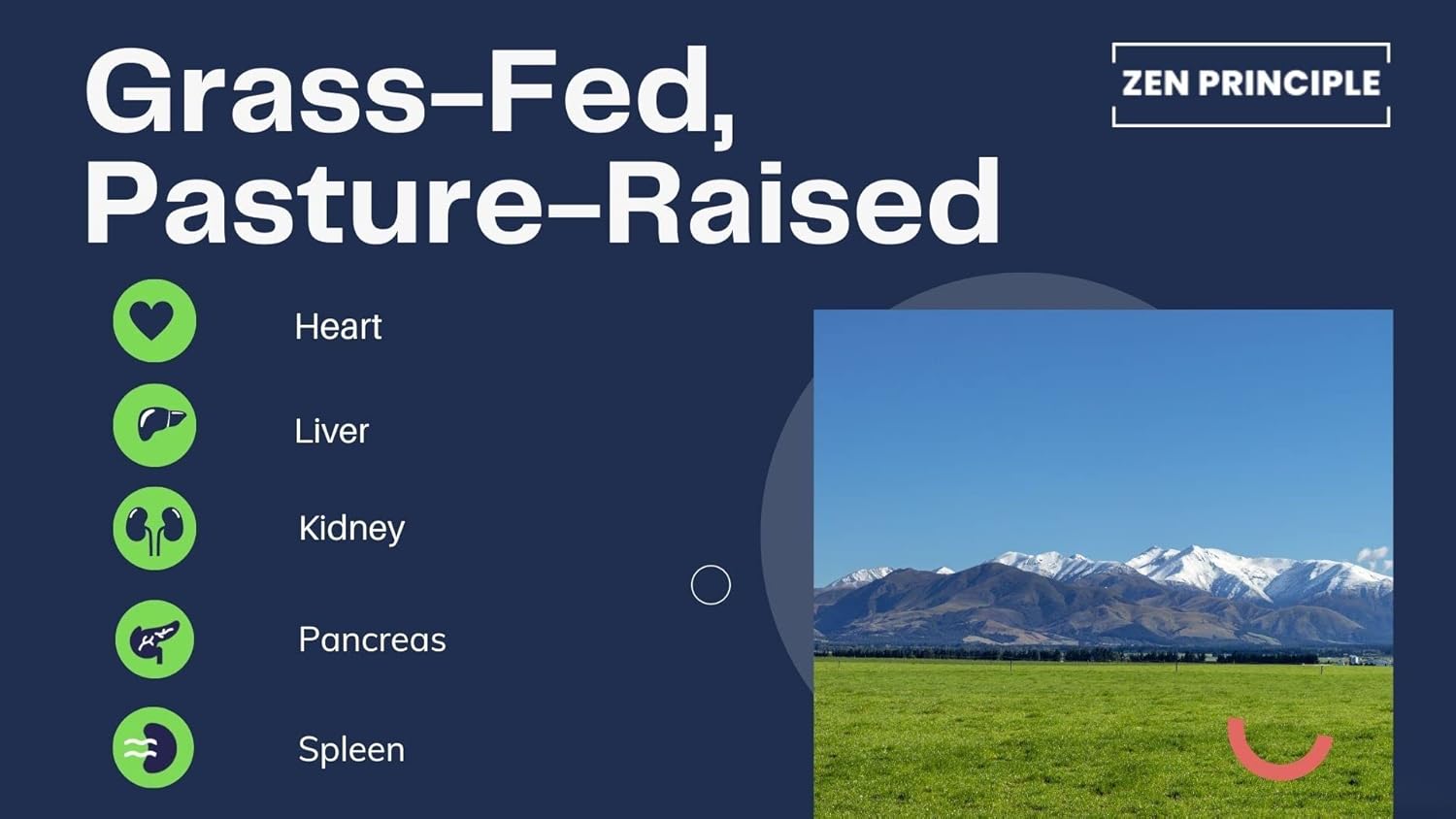 Grass Fed Beef Organ Supplements - Desiccated Liver, Heart, Kidney, Pancreas, Spleen, Intestine, Tripe/Stomach - Zen Principle