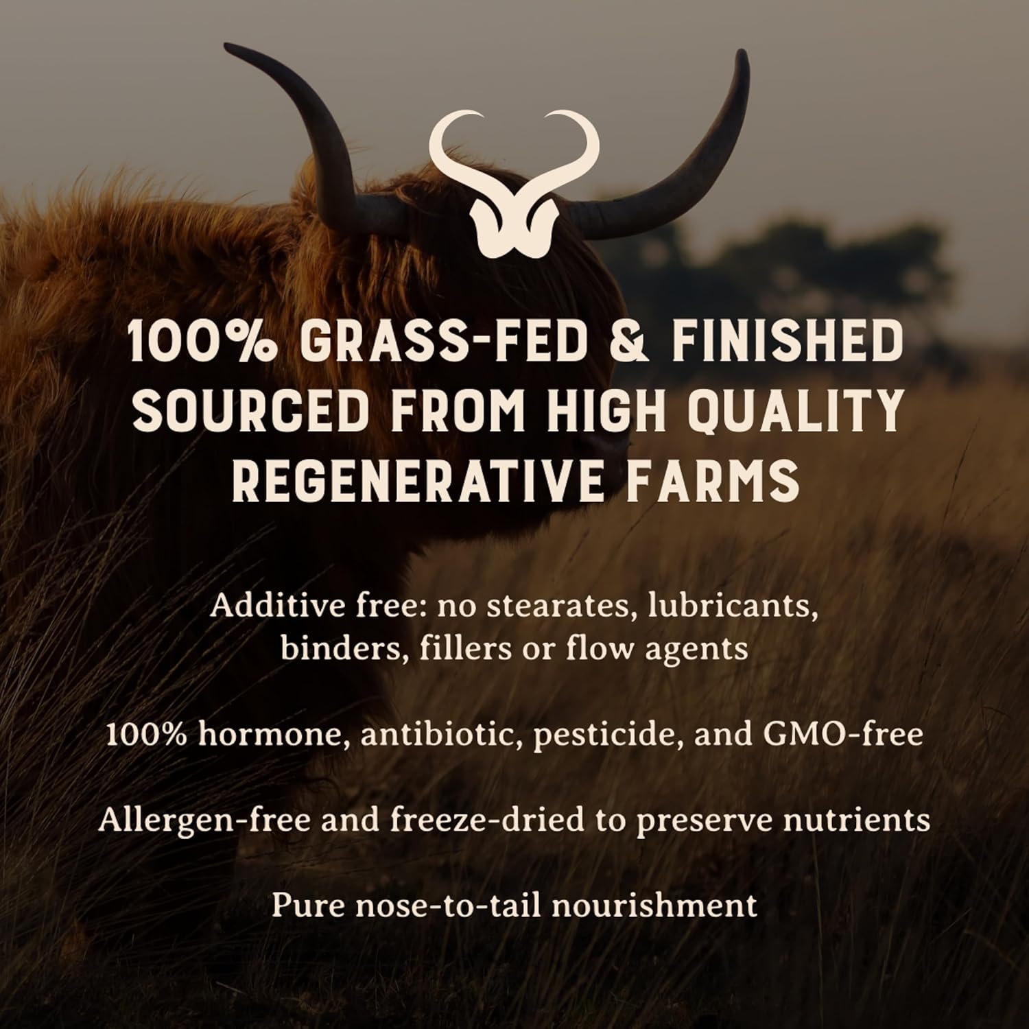 Grass-Fed Beef Organs Complex - Liver, Heart, Kidney, Pancreas, Spleen - Nose to Tail Nutrition - 180 Capsules