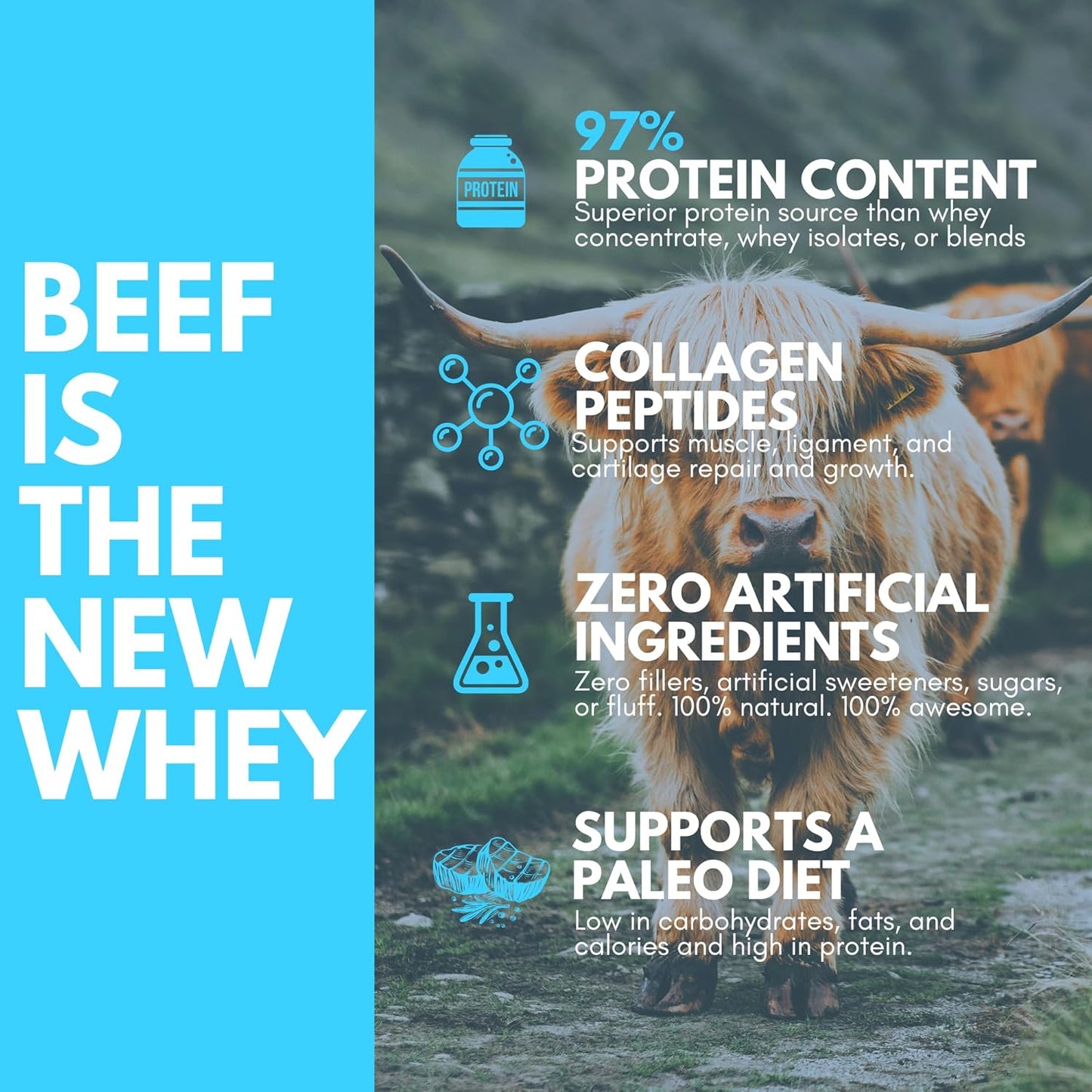 Grass Fed Bone Broth Beef Protein Powder with Collagen Peptides - 21g Protein - Gut, Keto, Paleo Friendly - Chocolate Flavor - 30 Servings