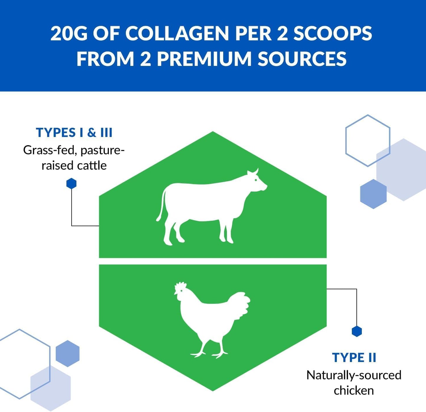 Grass Fed Collagen Protein Powder - 3-in-1 Hydrolyzed Collagen Peptides (Types I, II, & III) - Anti Aging, Skin, Hair, Bone & Joint Support - Unflavored, 2-Pack