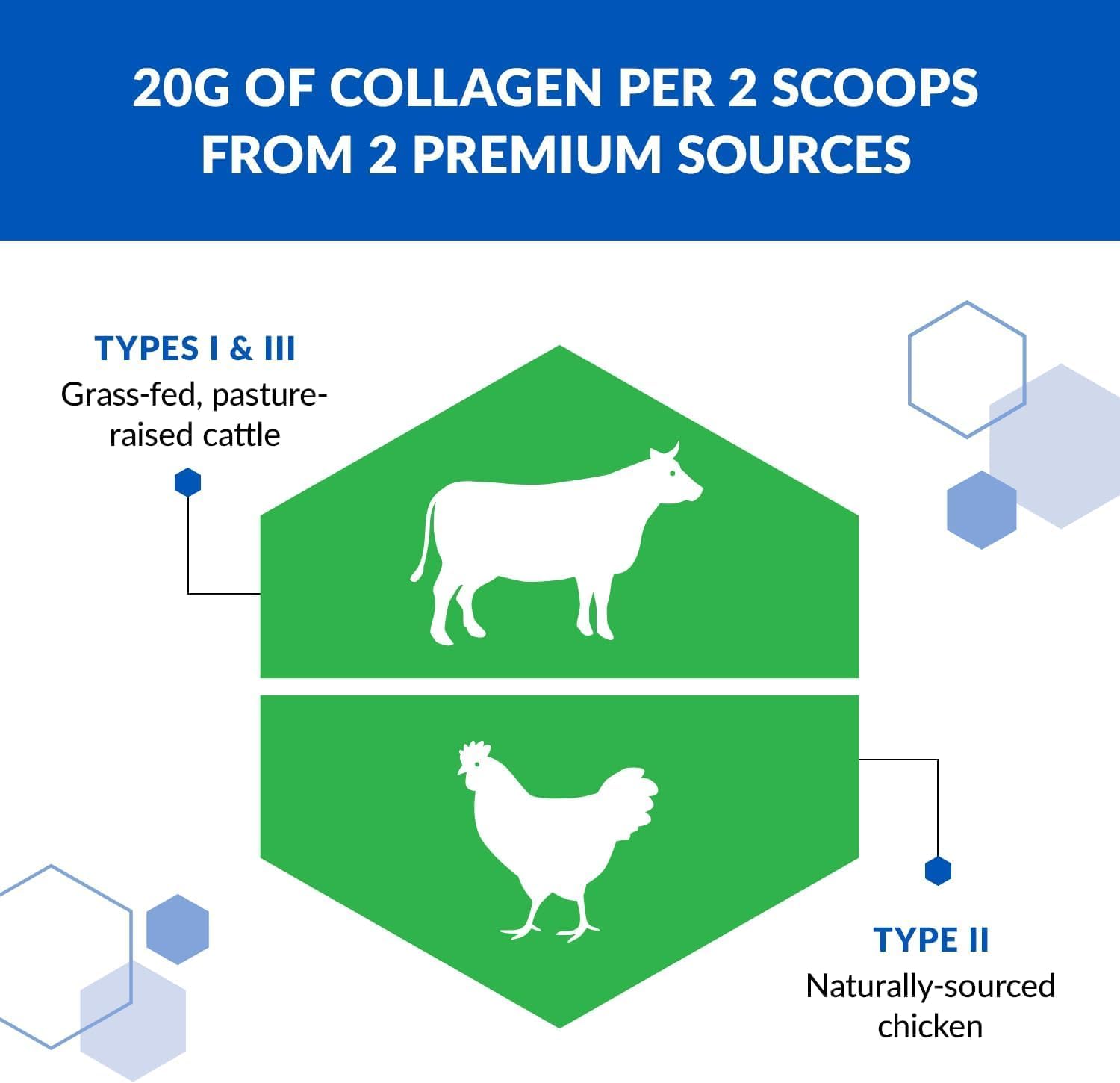 Grass Fed Collagen Protein Powder - 3-in-1 Hydrolyzed Collagen Peptides (Types I, II, & III) - Anti Aging, Skin, Hair, Bone & Joint Support - Unflavored, 2-Pack