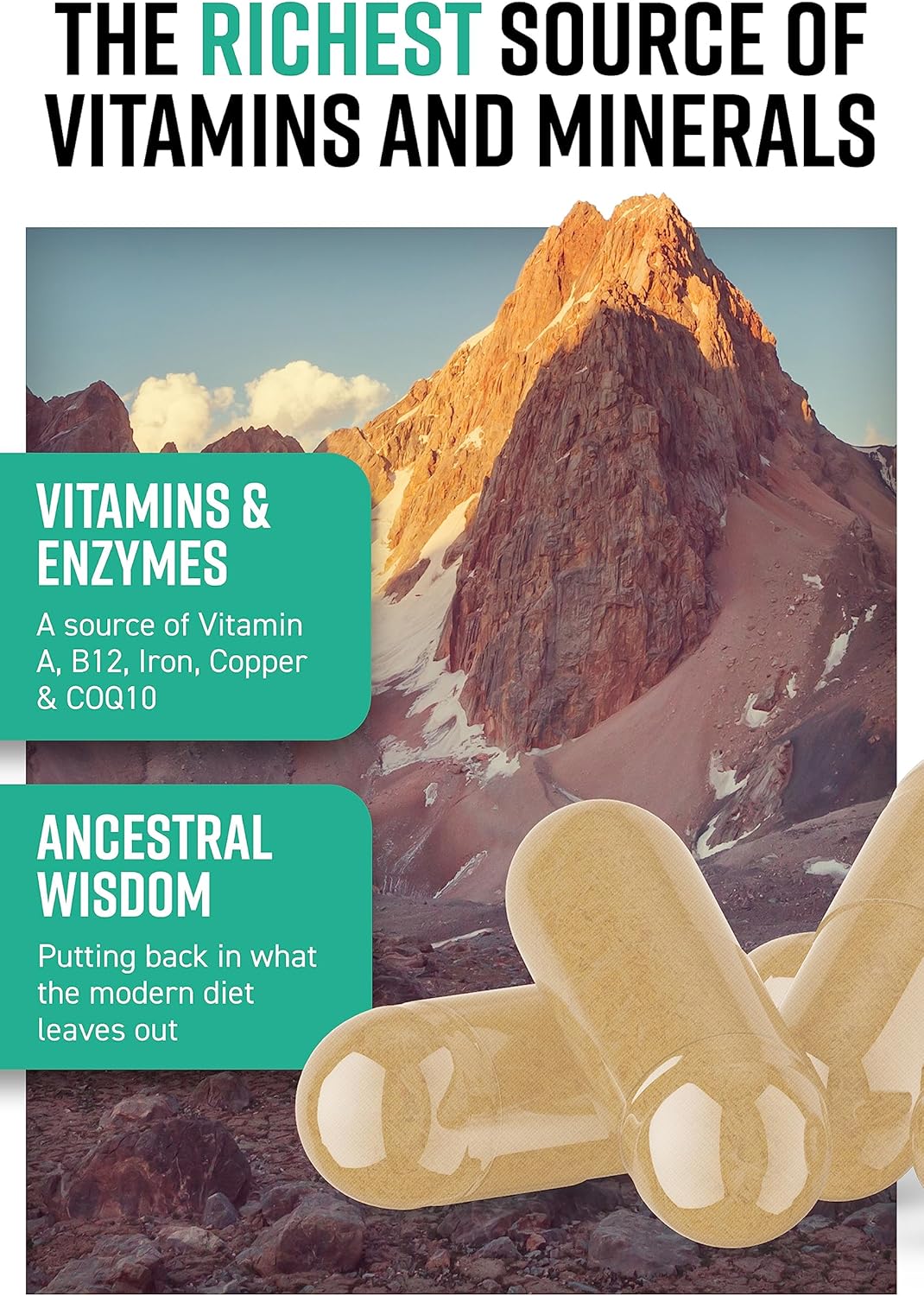 Grass-Fed Icelandic Lamb Ancestral Inspired Capsules - Hunter & Gather Nose to Tail 180 Perform, No GMOs, Antibiotics, or Hormones