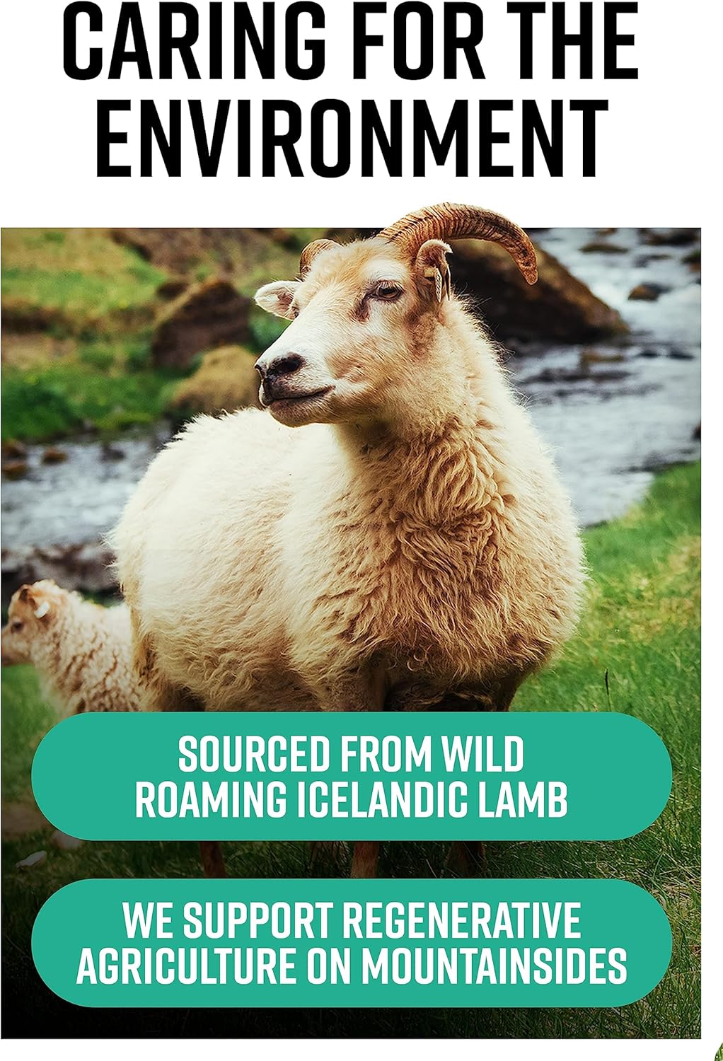 Grass-Fed Icelandic Lamb Ancestral Inspired Capsules - Hunter & Gather Nose to Tail 180 Perform, No GMOs, Antibiotics, or Hormones