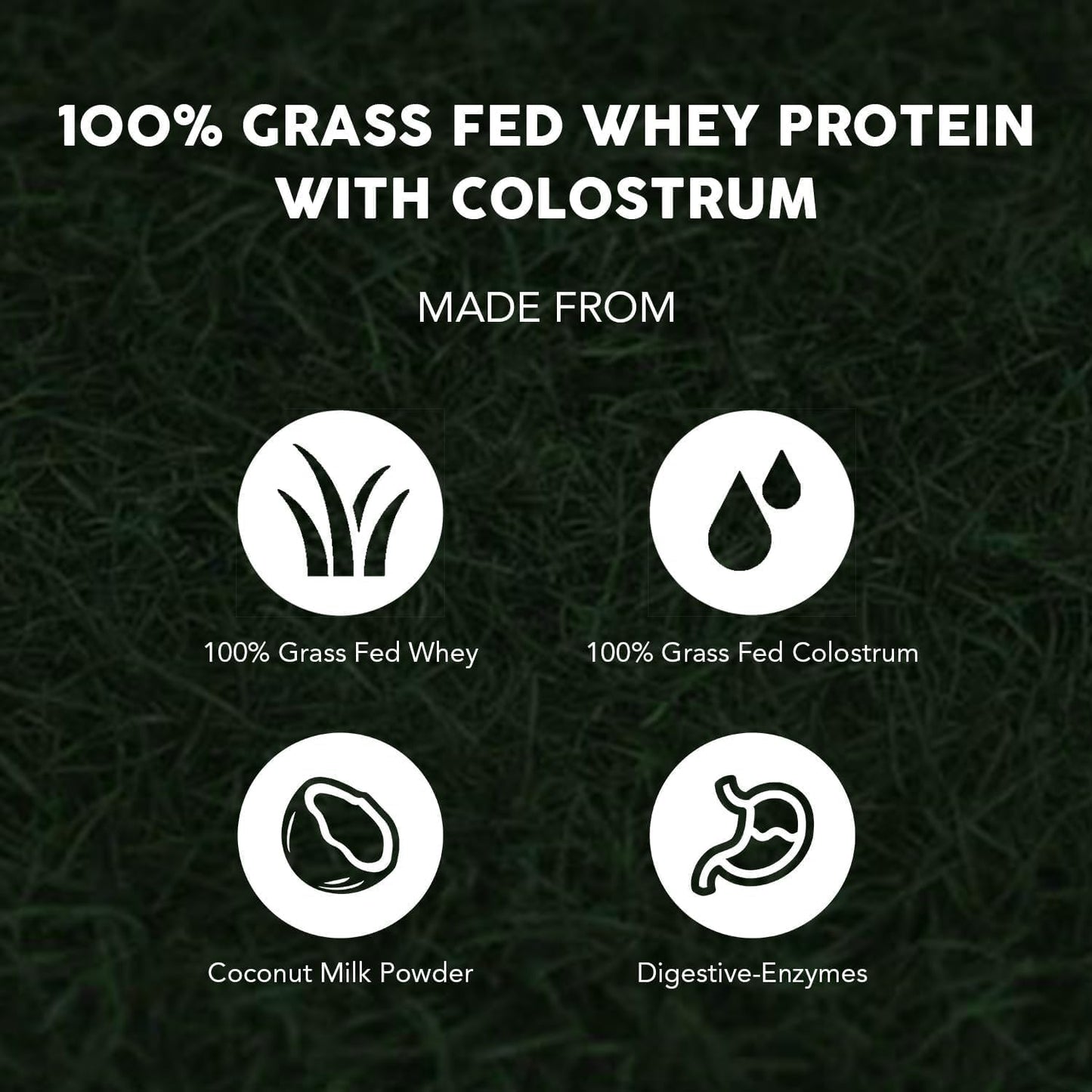 Grass Fed Whey Protein by Paleovalley - 100% Pure and Natural