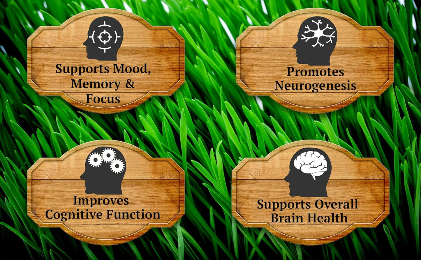 Grassfed Beef Brain Capsules for Memory, Mood, Focus, Energy - 90 Caps, 1500mg