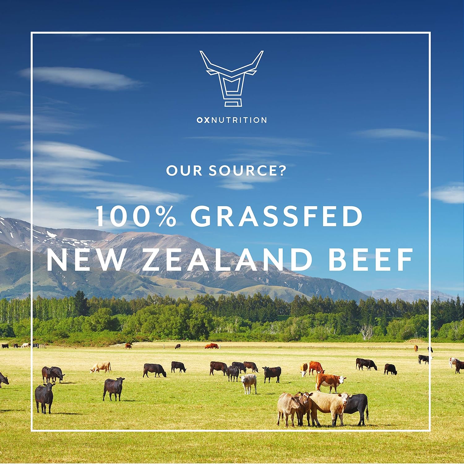 Grassfed Beef Liver Capsules (Desiccated) | Natural Iron & B12 Supplement | Energy & Thyroid Support | 180 Capsules | Superfood with Vitamins & Nutrients