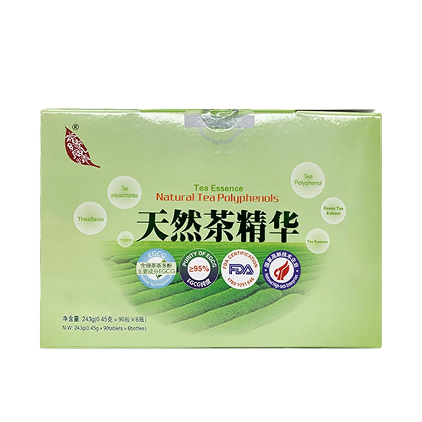Green Tea Polyphenols Extract Tablets - 90 Tablets per Bottle, 6 Bottles per Box - Natural Tea Essence