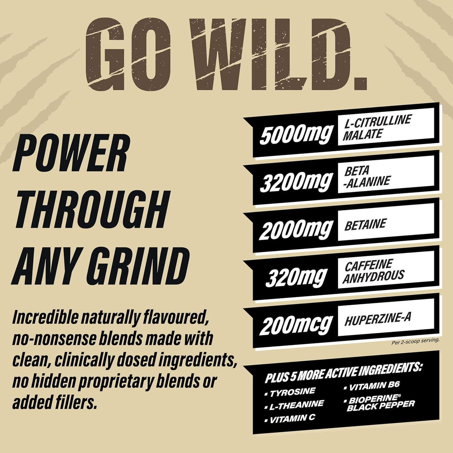 Grizzly Pre Workout Powder - Essential Aminos, L-Citrulline, Beta Alanine, Caffeine - Energy Drink Mix for Power & Focus - Arctic Ice - 40 Servings