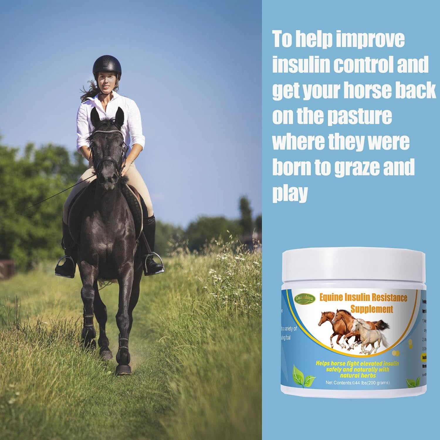 Guanshiya Equine Insulin Resistance Supplement: Supports Horses with High Insulin, Laminitis, Cushing's, Sore Feet - 0.44 lbs