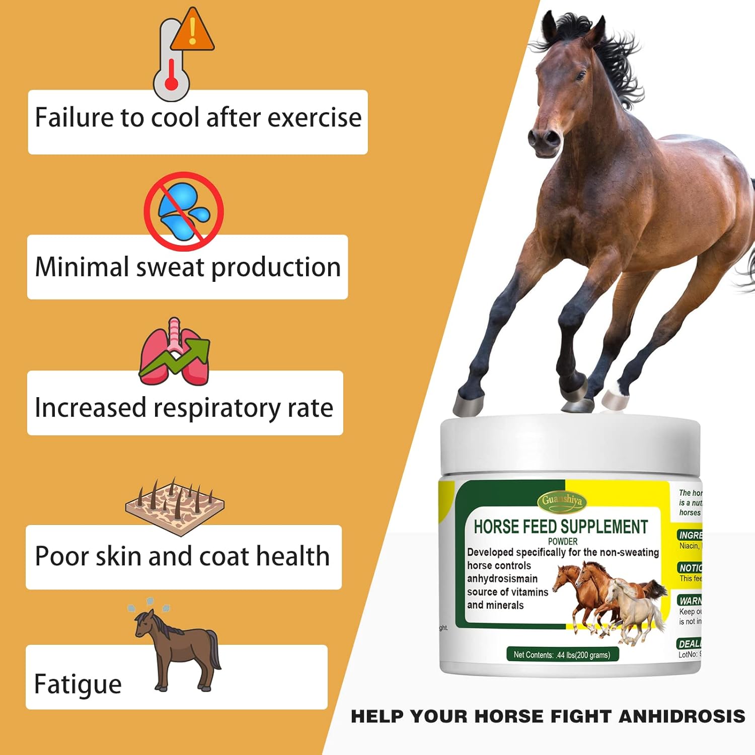 Guanshiya Horse Anhidrosis Treatment for Healthy Temperature Regulation - Stop Sweat, AC, Old, Mare, Gelding - Summer Use