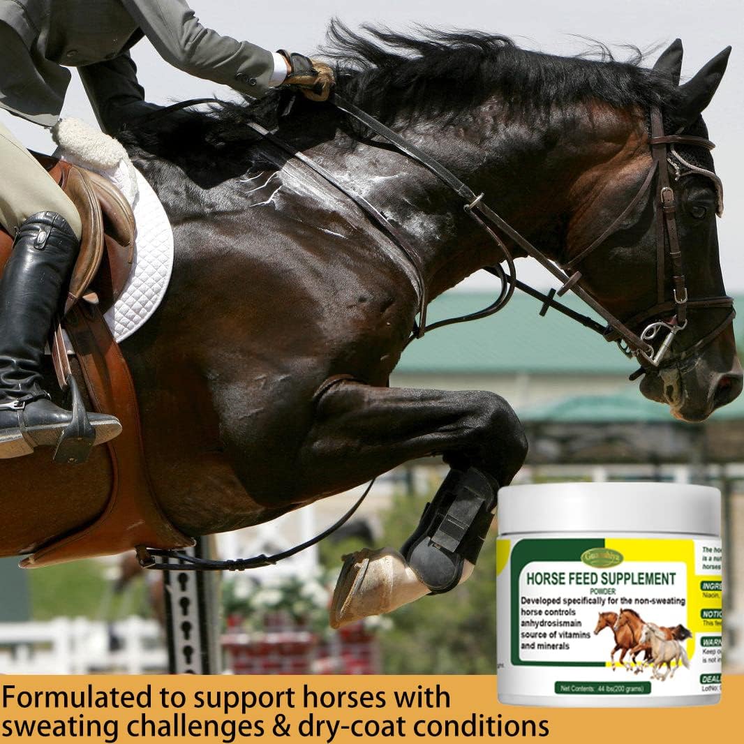 Guanshiya Horse Anhidrosis Treatment for Healthy Temperature Regulation - Stop Sweat, AC, Old, Mare, Gelding - Summer Use