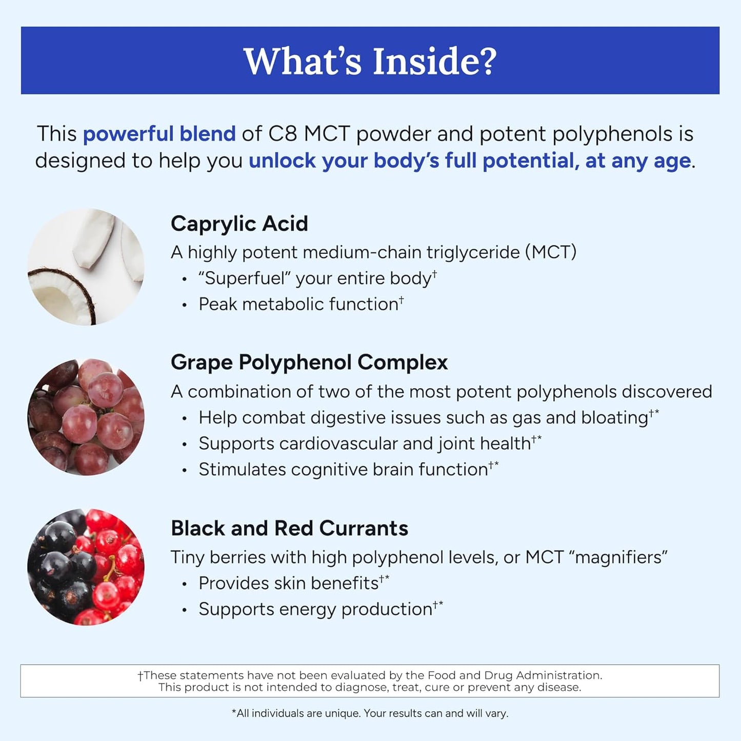 Gundry MD Blueberry Lemonade MCT Wellness Powder - Supports Energy, Ketone Production & Brain Health - Keto-Friendly & Sugar-Free - 30 Servings