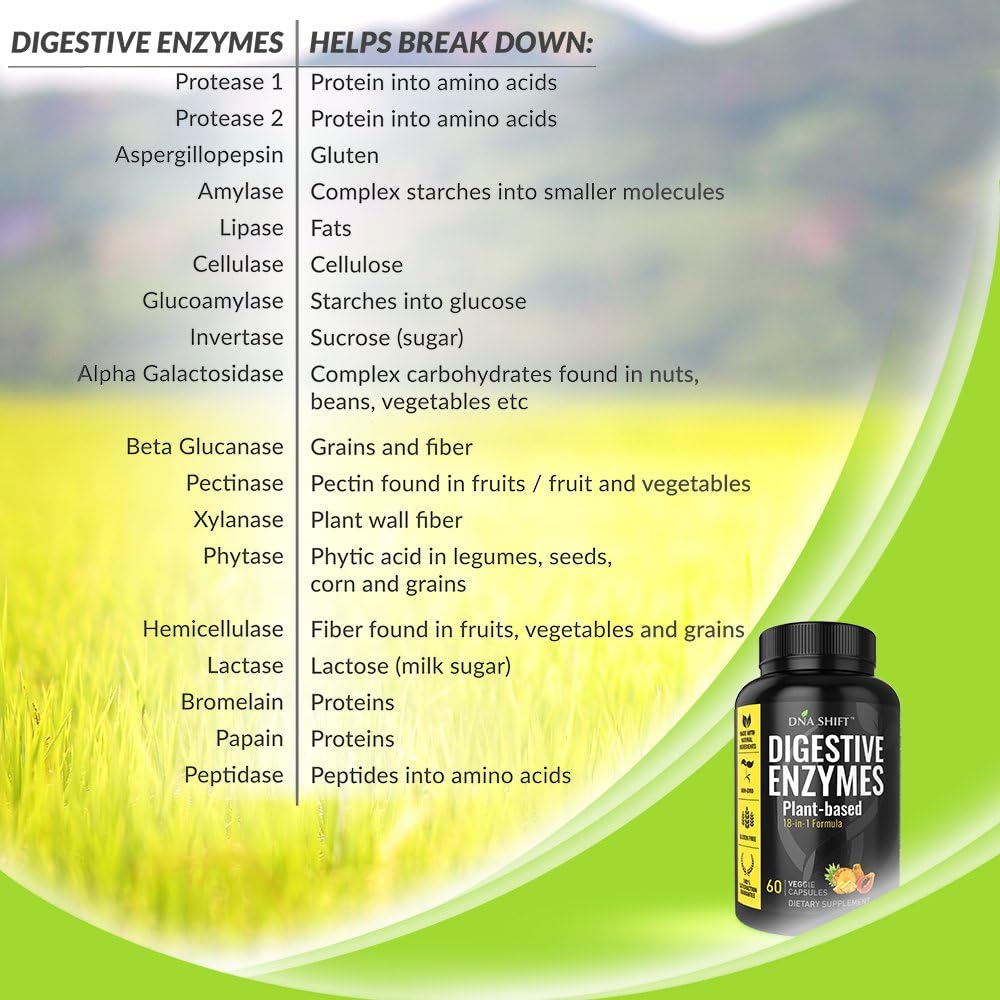 Gut Health Digestive Enzymes for Men and Women - Supports Digestive Health - Helps with Constipation, Bloating, and Gas - Suitable for All Diets - 60 CT