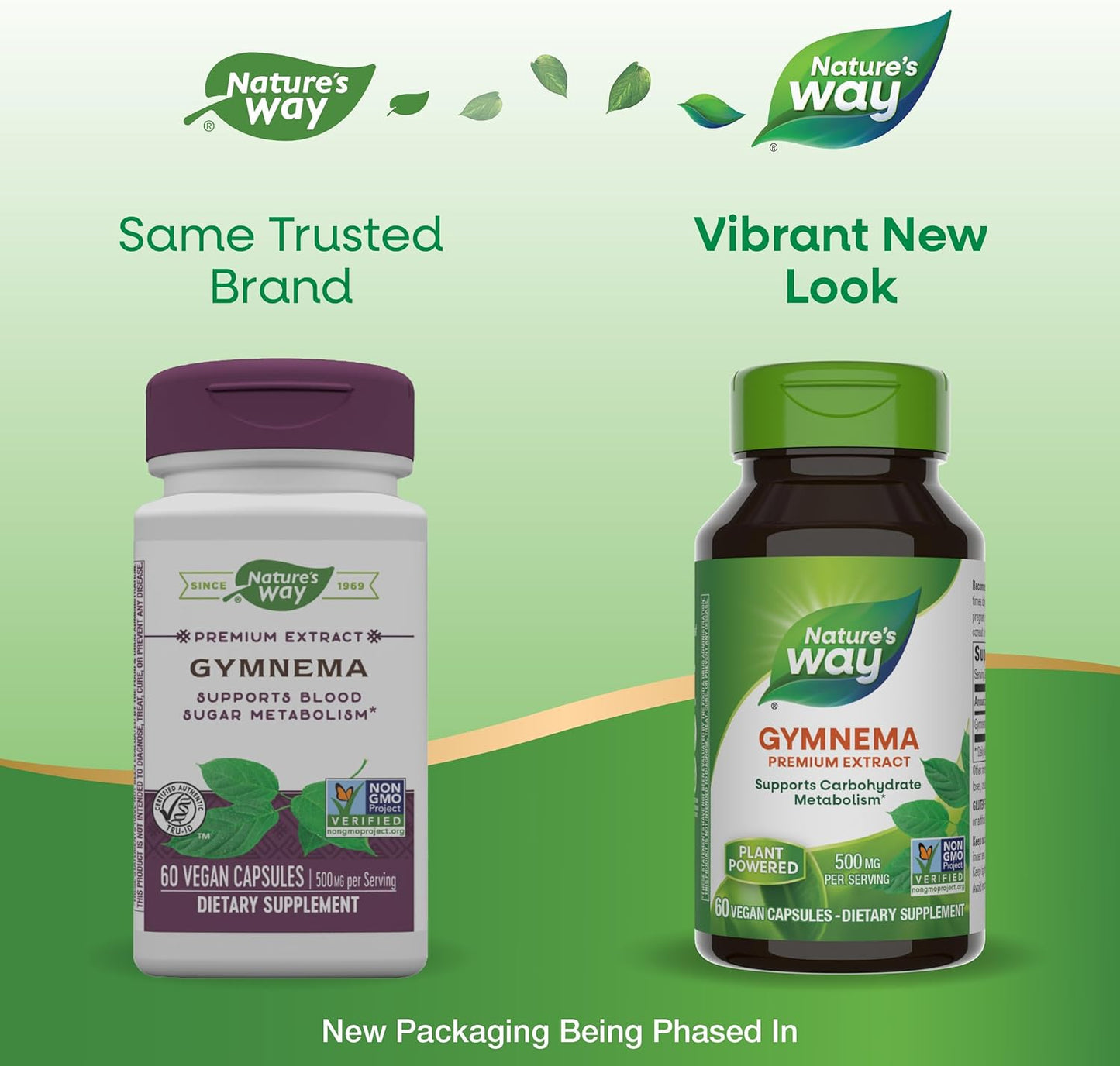Gymnema Premium Extract for Carbohydrate Metabolism Support - 500mg, Non-GMO, 60 Vegan Capsules