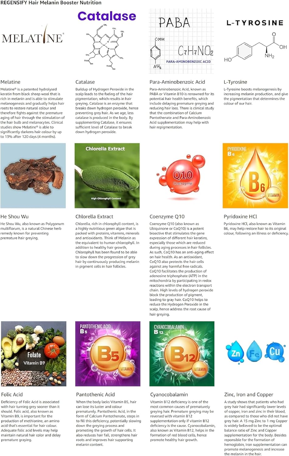 Hair Melanin Boosting Supplement for Men & Women - Melatine, Catalase, PABA, L-Tyrosine, He Shou Wu, Chlorella, CoQ10, Folic Acid, Pantothenic Acid | Anti Grey Hair Formula by REGENSIFY