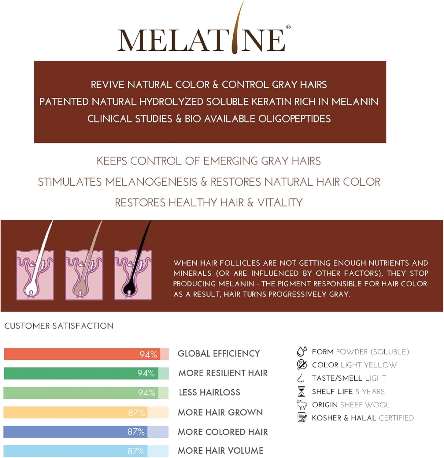 Hair Melanin Boosting Supplement for Men & Women - Melatine, Catalase, PABA, L-Tyrosine, He Shou Wu, Chlorella, CoQ10, Folic Acid, Pantothenic Acid | Anti Grey Hair Formula by REGENSIFY