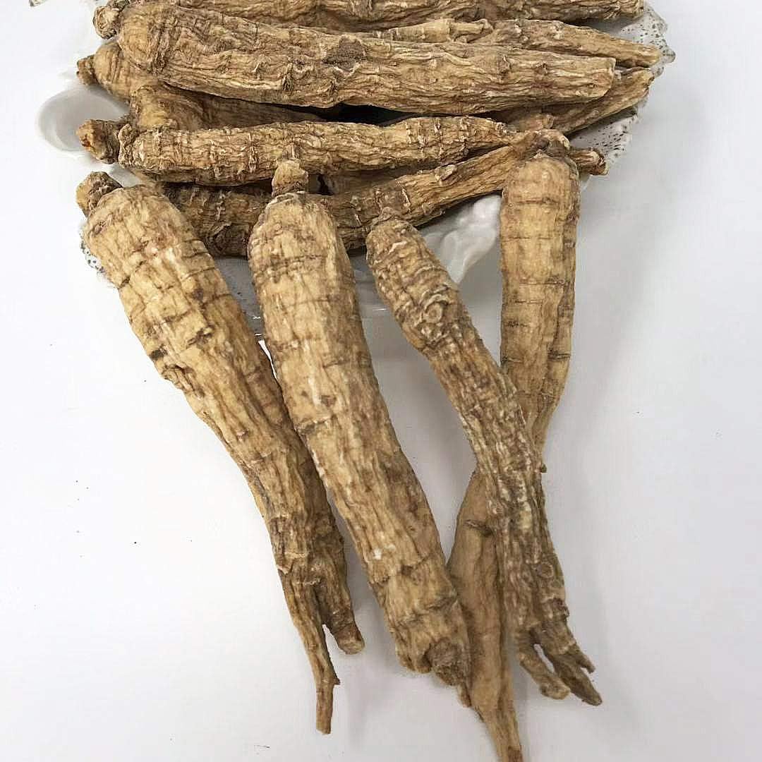 Hand-Selected American Wisconsin Farmed Ginseng Root in 8oz Box | Cultivated Wisconsin American Ginseng (227g) | Gift Box Packaged Ginseng Root