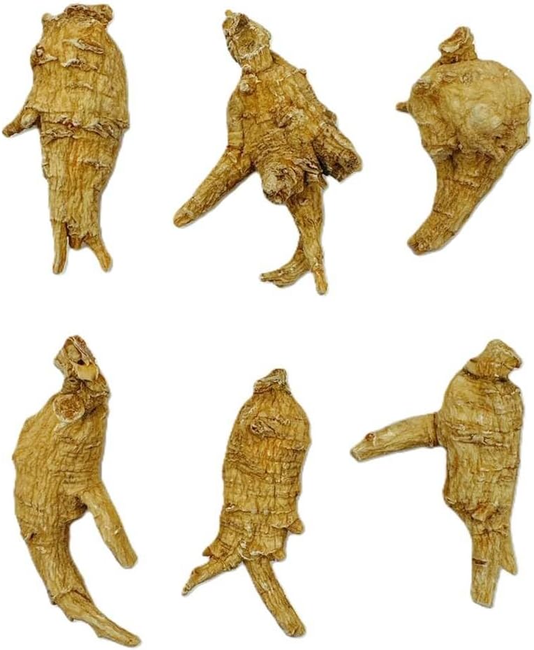 Hand-Selected Green Nutrition A Grade American Ginseng (4 oz) - Medium Round Size