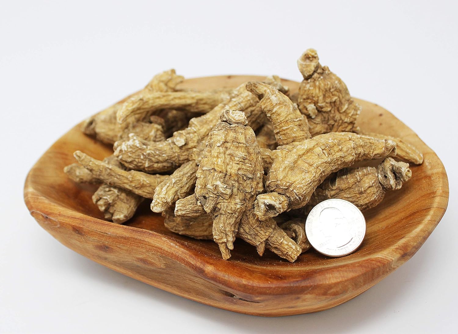 Hand-Selected Wisconsin American Ginseng Roots - Medium & Large Sizes - Cultivated in DABC Oak Land - 8oz Box