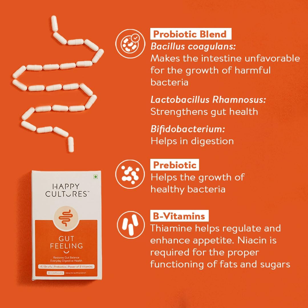 Happy Cultures Gut Health Supplement with Probiotics & B-Vitamins - 30 Veg Capsules for Digestive Health, Bloating & IBS