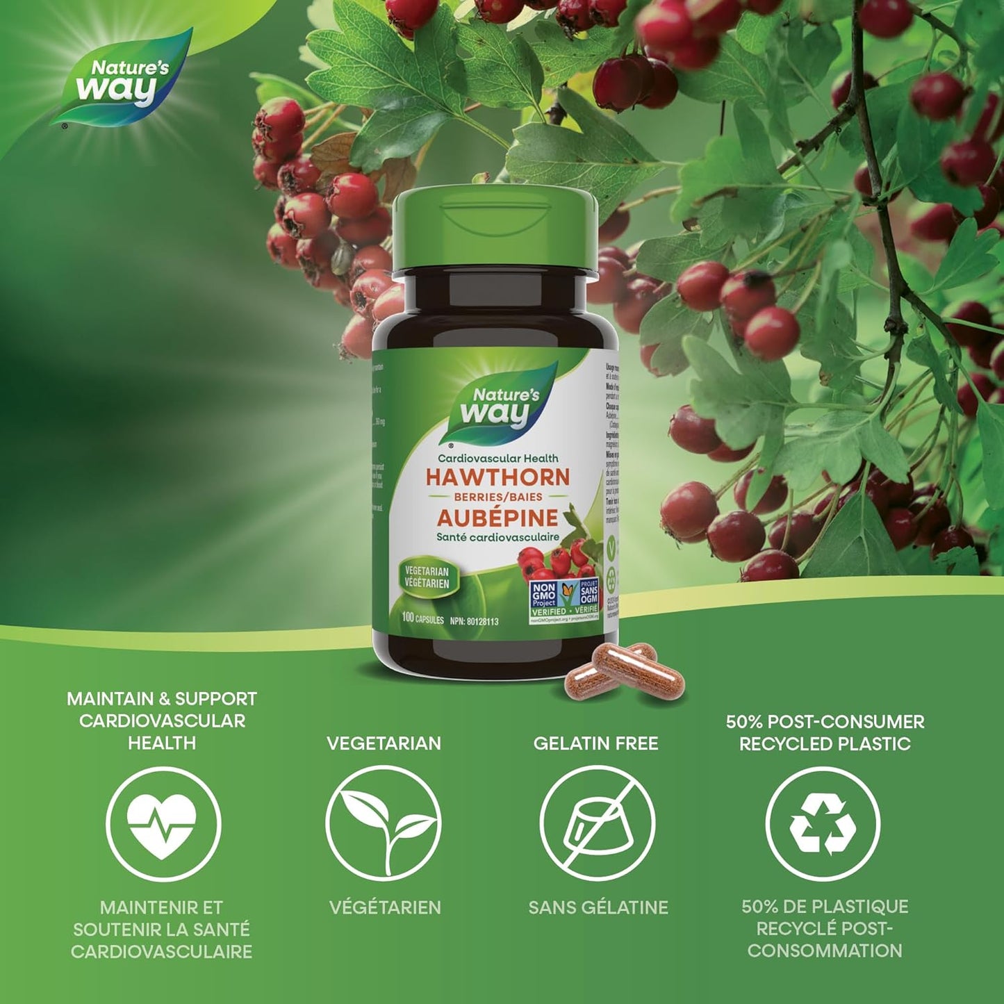 Hawthorn Berries by Nature's Way - 100 Vegetarian Capsules for Cardiovascular Health