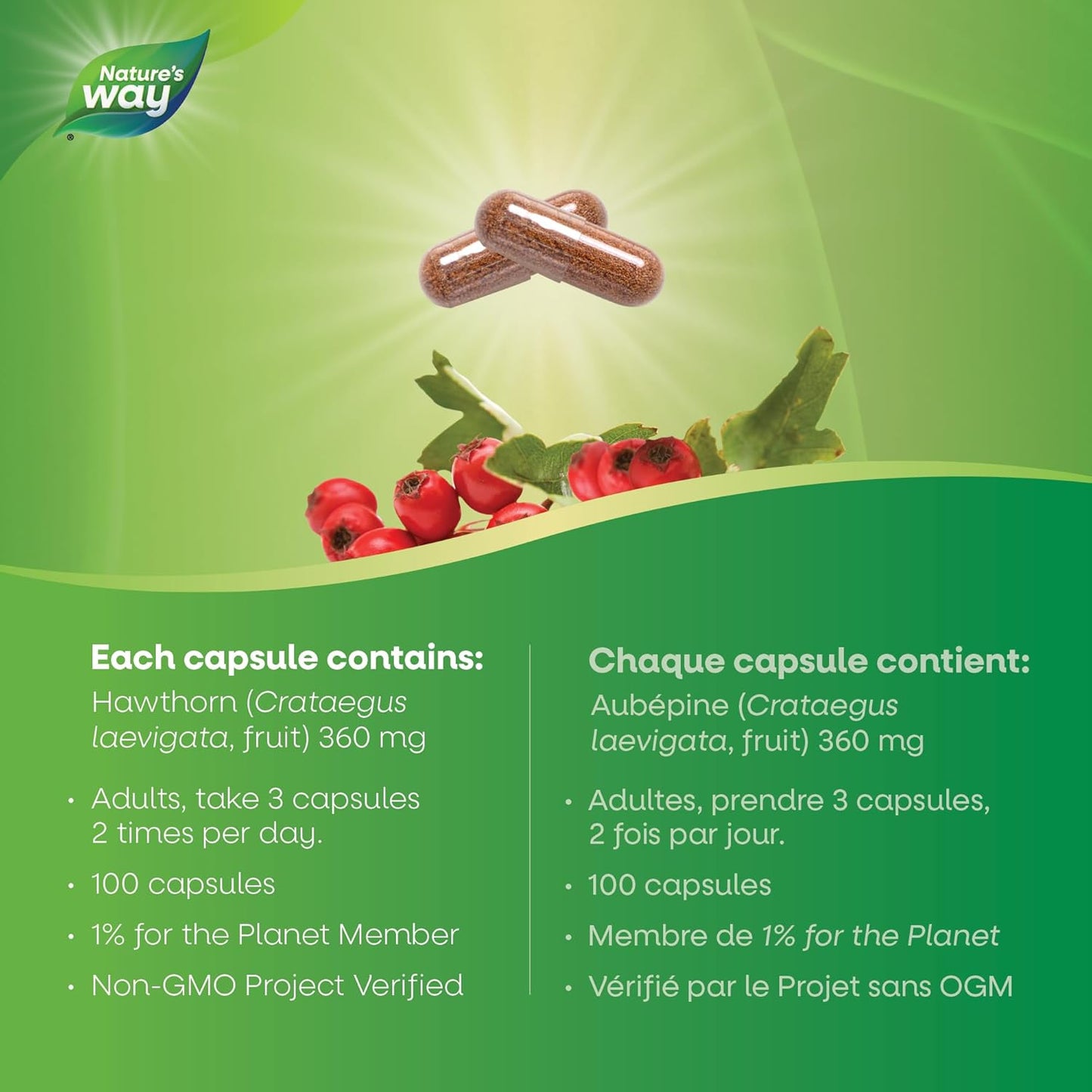 Hawthorn Berries by Nature's Way - 100 Vegetarian Capsules for Cardiovascular Health