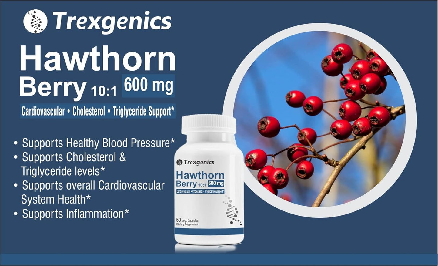 Hawthorn Berry 600mg Capsules for Cardiovascular Health - Vegan & Non-GMO - Supports Cholesterol, Triglycerides, and Blood Pressure - 60 Count