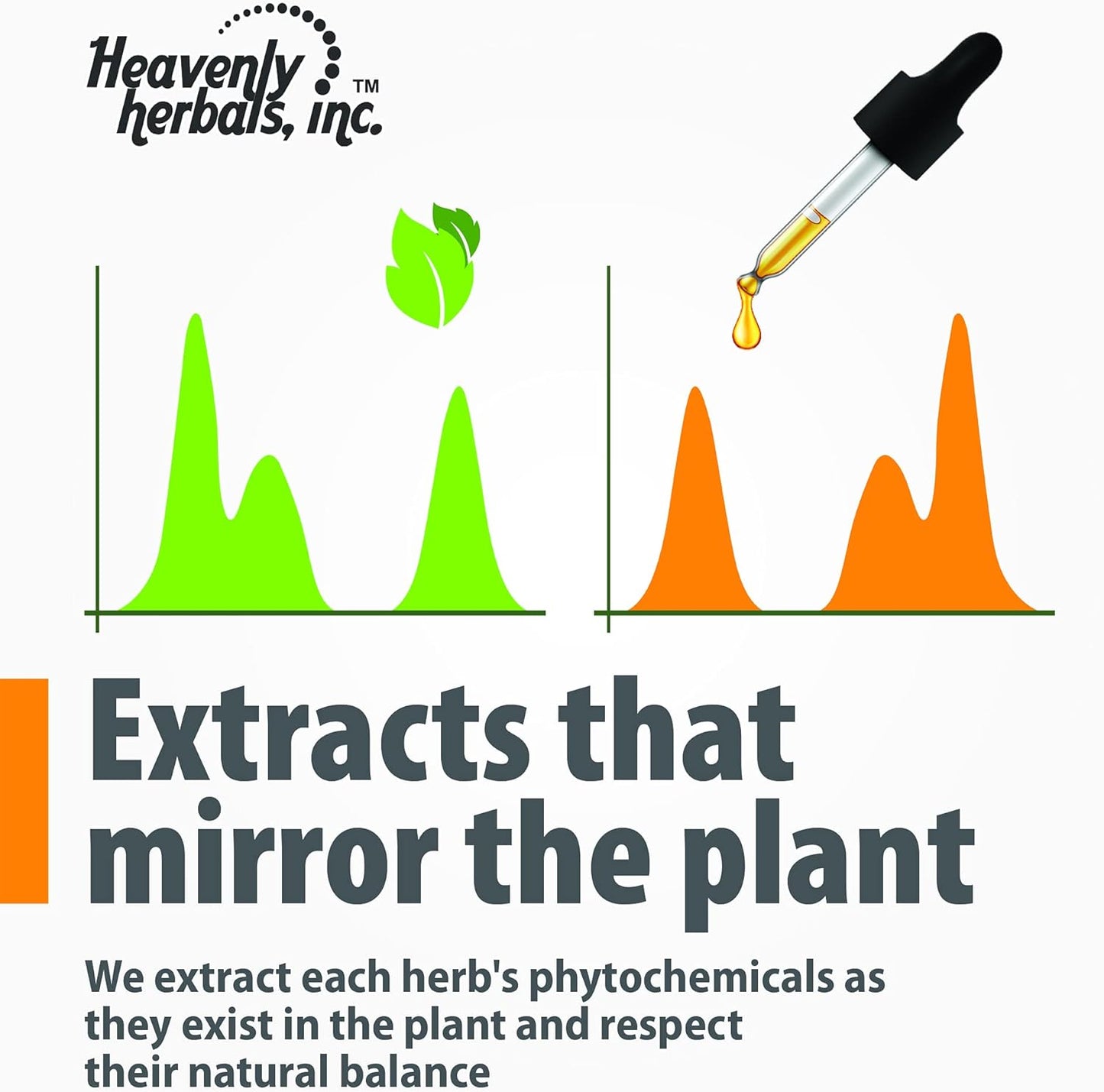 Hawthorn Berry Extract Mother Tincture - Supports Cardiovascular Health and Blood Circulation - 2 fl. Oz - Made in USA - Homeopathic Medicine by Heavenly Herbals, Inc.