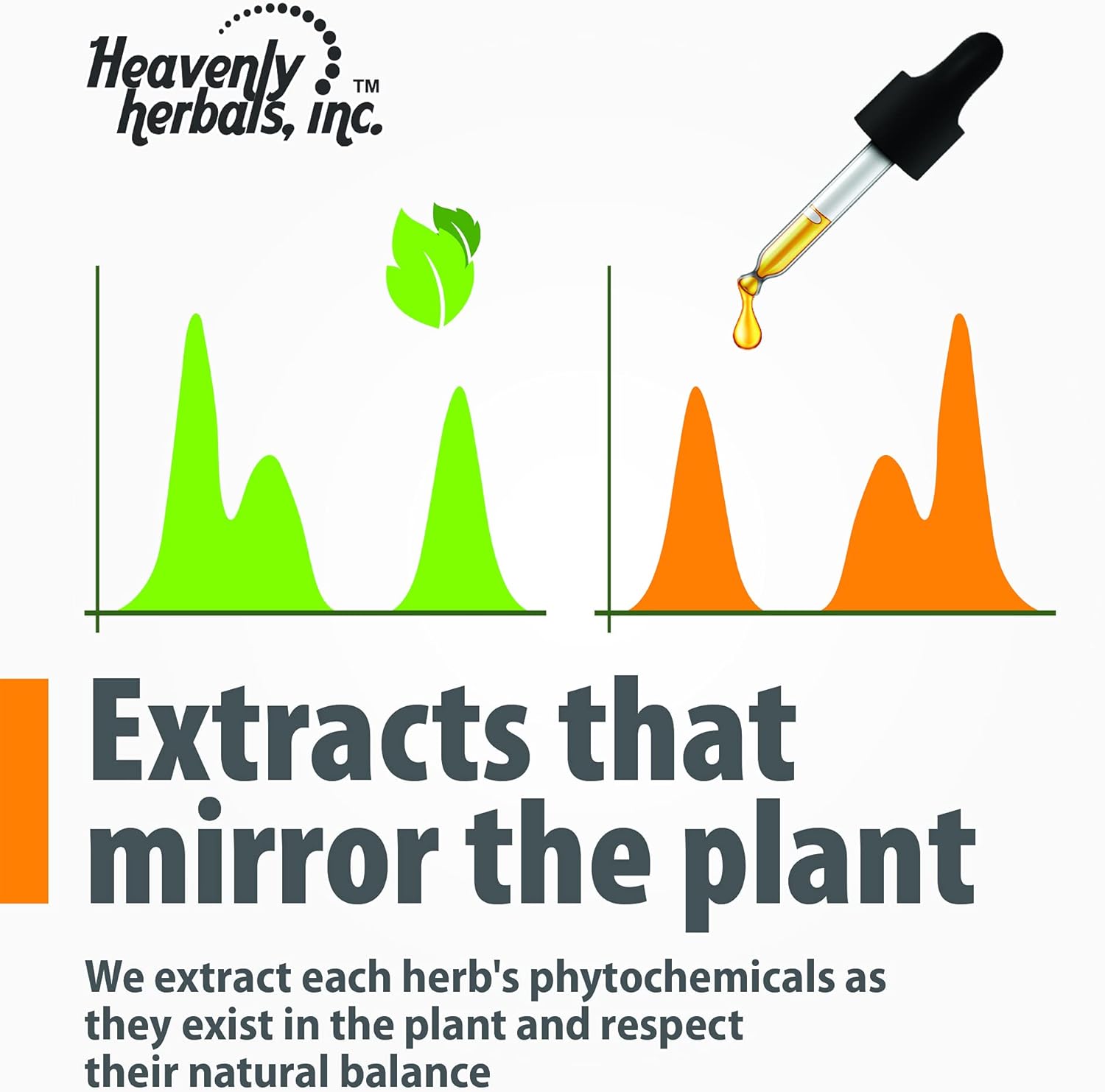 Hawthorn Berry Extract Mother Tincture - Supports Cardiovascular Health and Blood Circulation - 2 fl. Oz - Made in USA - Homeopathic Medicine by Heavenly Herbals, Inc.