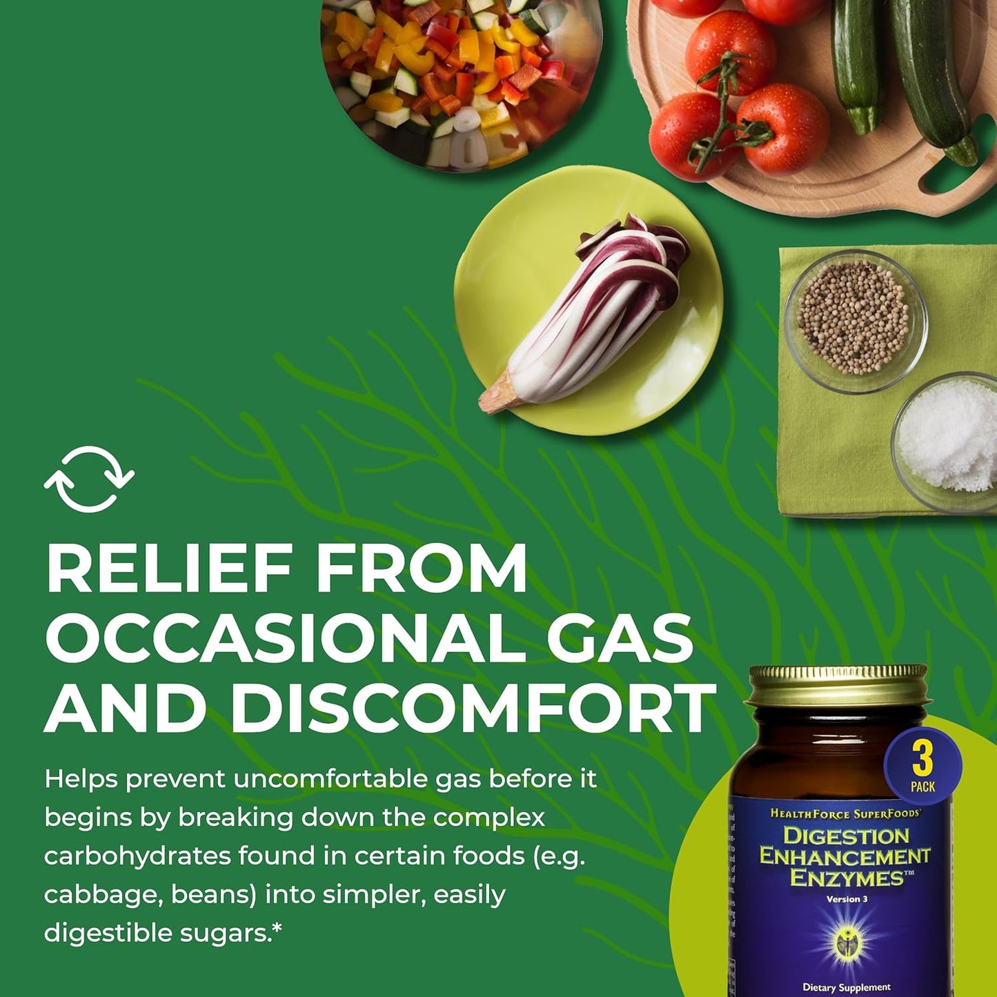 HealthForce SuperFoods Digestion Enhancement Enzymes - 360 Vegan Capsules