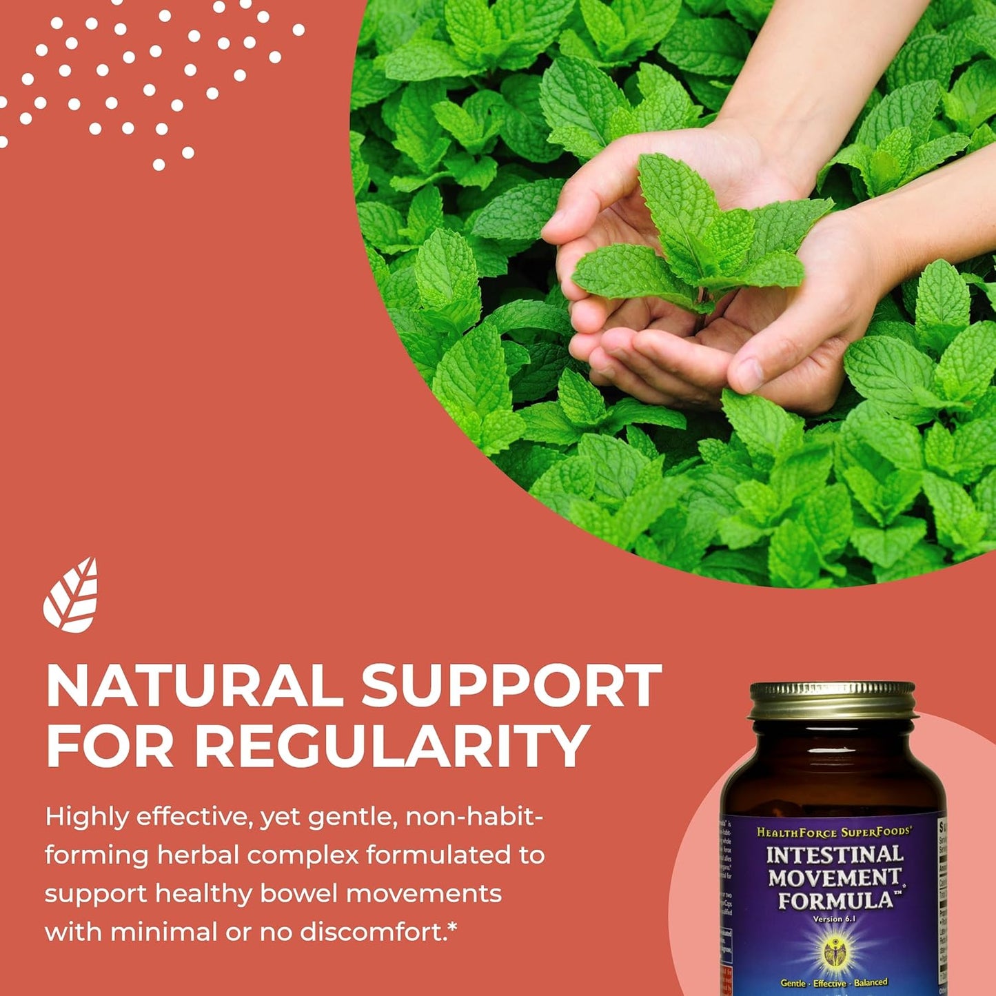 HealthForce SuperFoods Variety Pack: Liver Rescue & Intestinal Movement Formula (120 VeganCaps each)