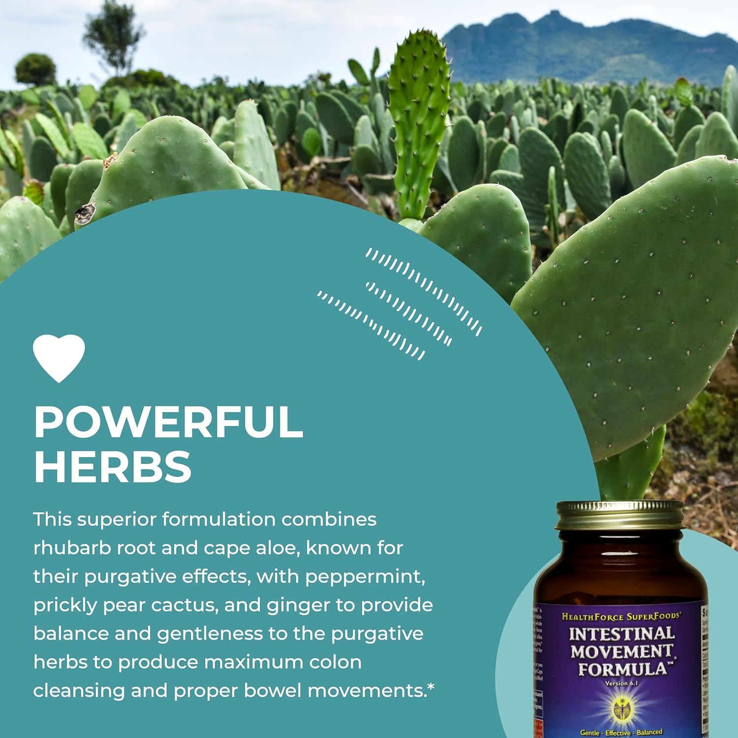 HealthForce SuperFoods Variety Pack: Liver Rescue & Intestinal Movement Formula (120 VeganCaps each)