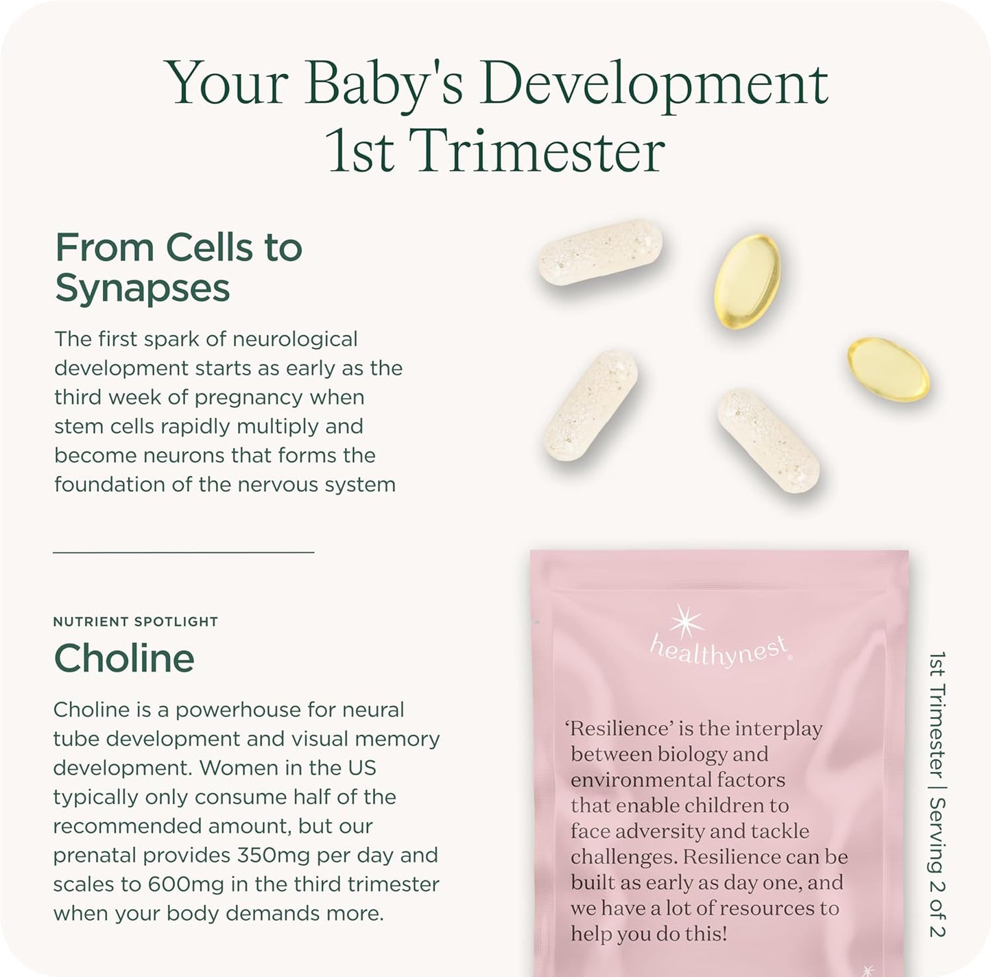 Healthybaby HealthyNest Prenatal Vitamin: Preconception & 1st Trimester Support for Fetal Brain Development, Methylfolate, Choline, DHA, Iron, Inositol - 31 Day Supply
