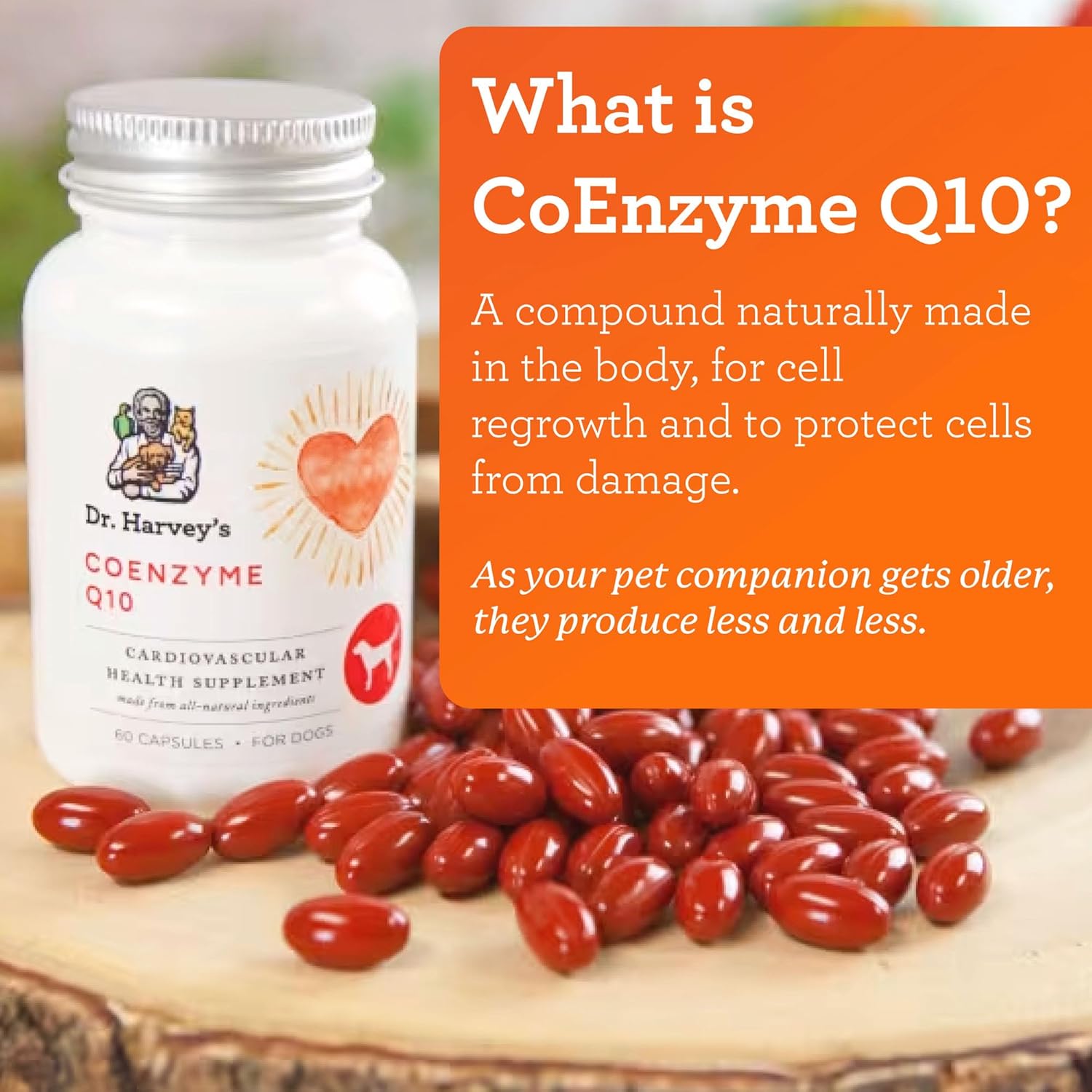 Heart & Cardiovascular Support Supplements for Dogs - Dr. Harvey's Coenzyme Q10, 60 Capsules