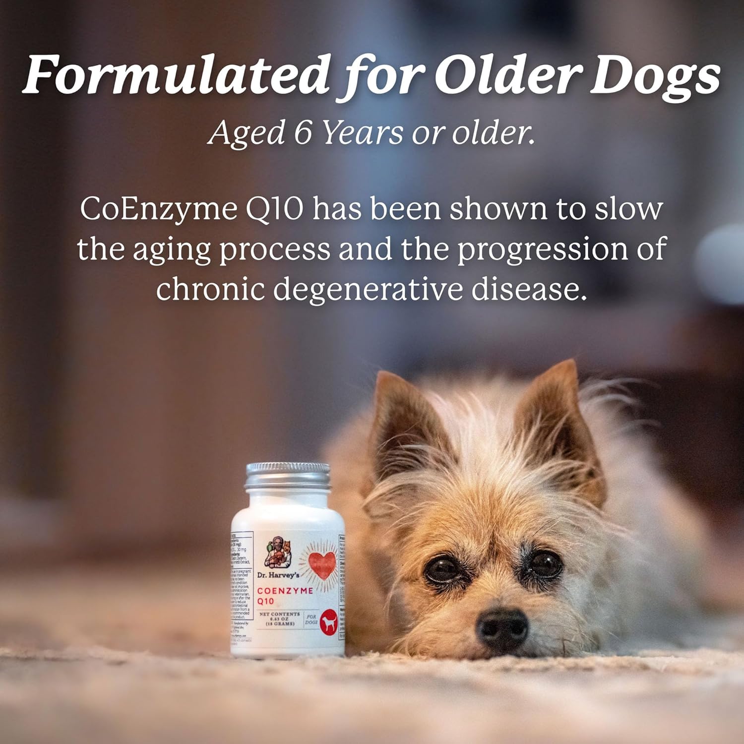 Heart & Cardiovascular Support Supplements for Dogs - Dr. Harvey's Coenzyme Q10, 60 Capsules