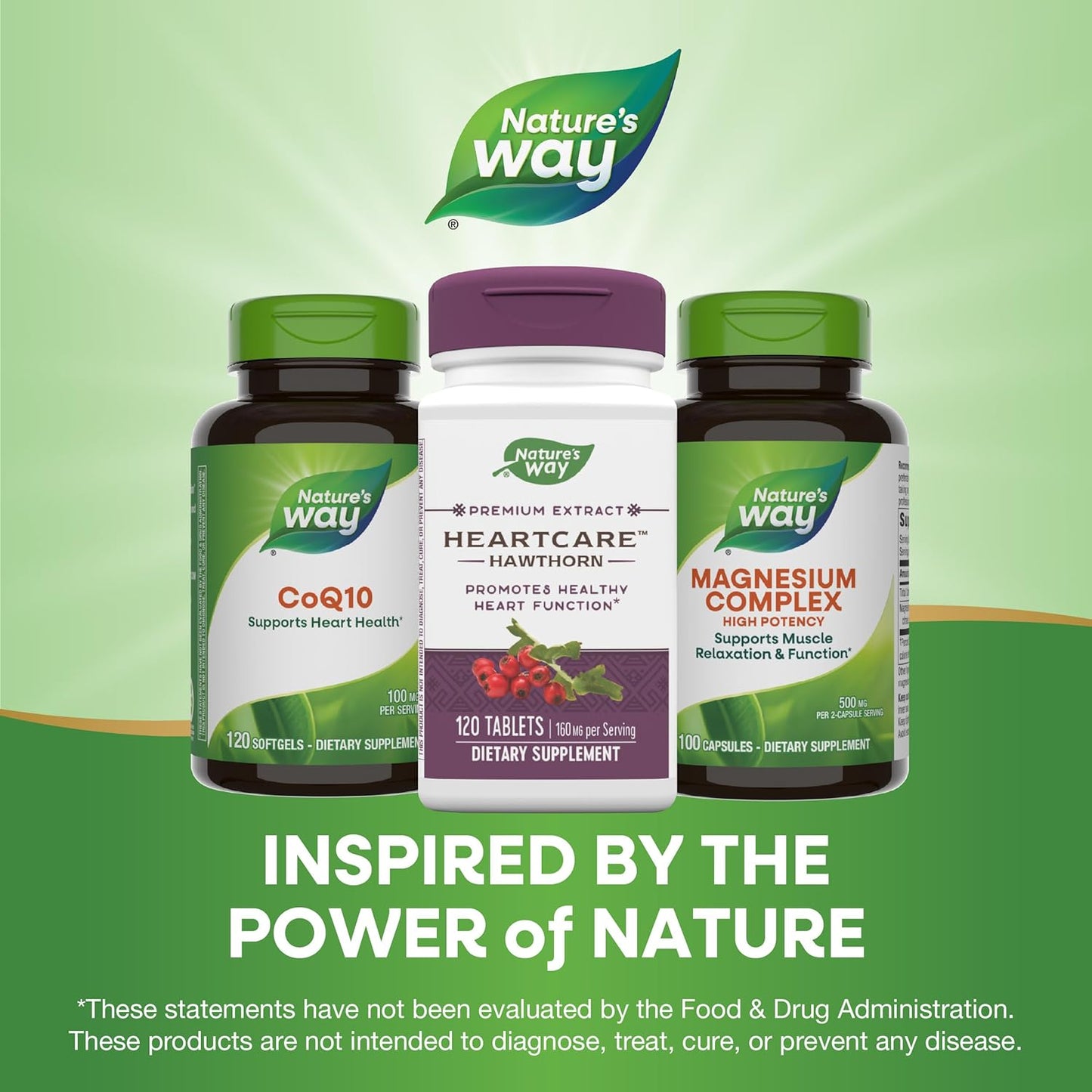 Heart Care Hawthorn Extract - Promotes Healthy Heart Function - 120 Tablets