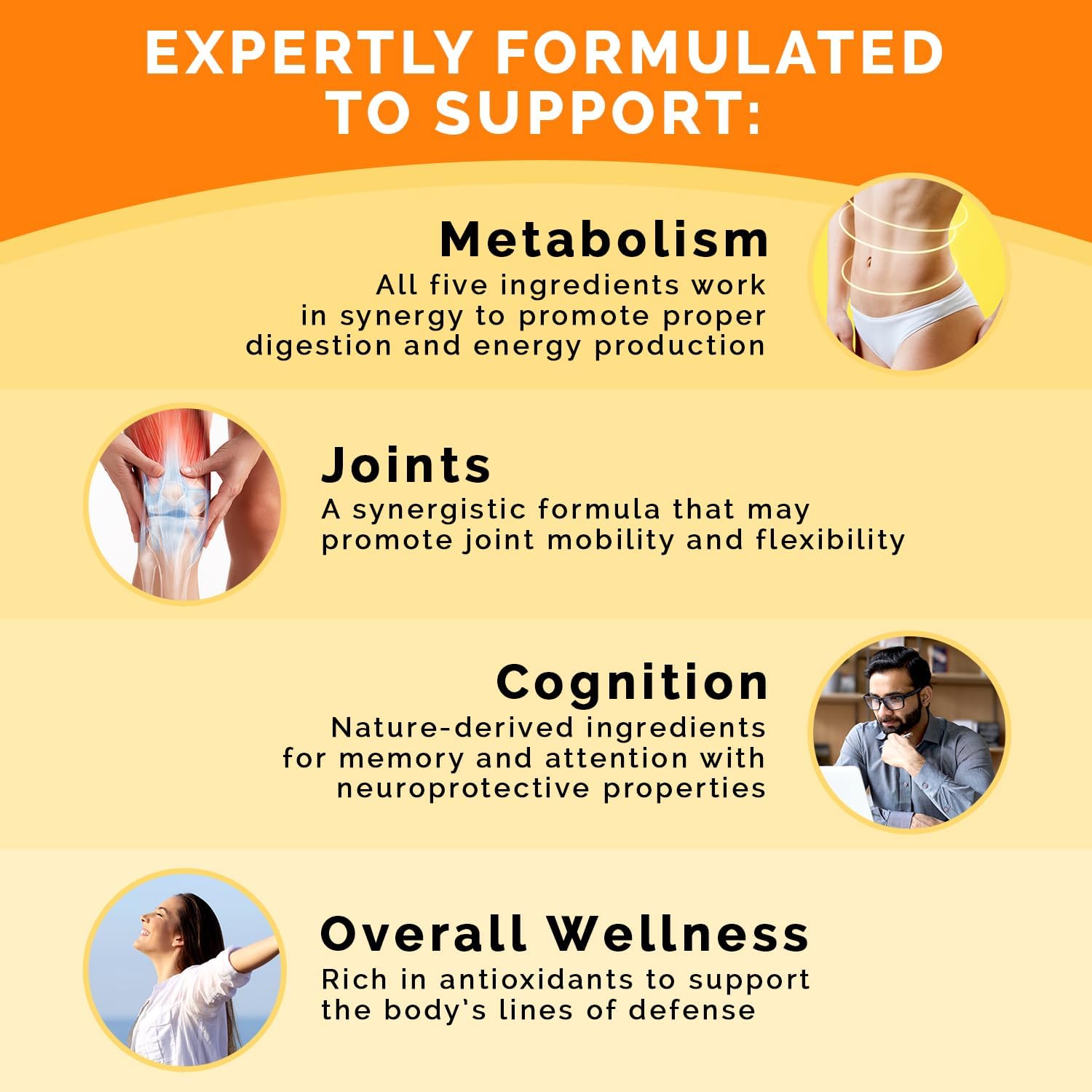 Heart, Energy, & Immune Support Bundle - PrimeMD Ceylon Cinnamon, Fadogia Tongkat Ali, and Nitric Oxide Supplements - Non-GMO & Vegan