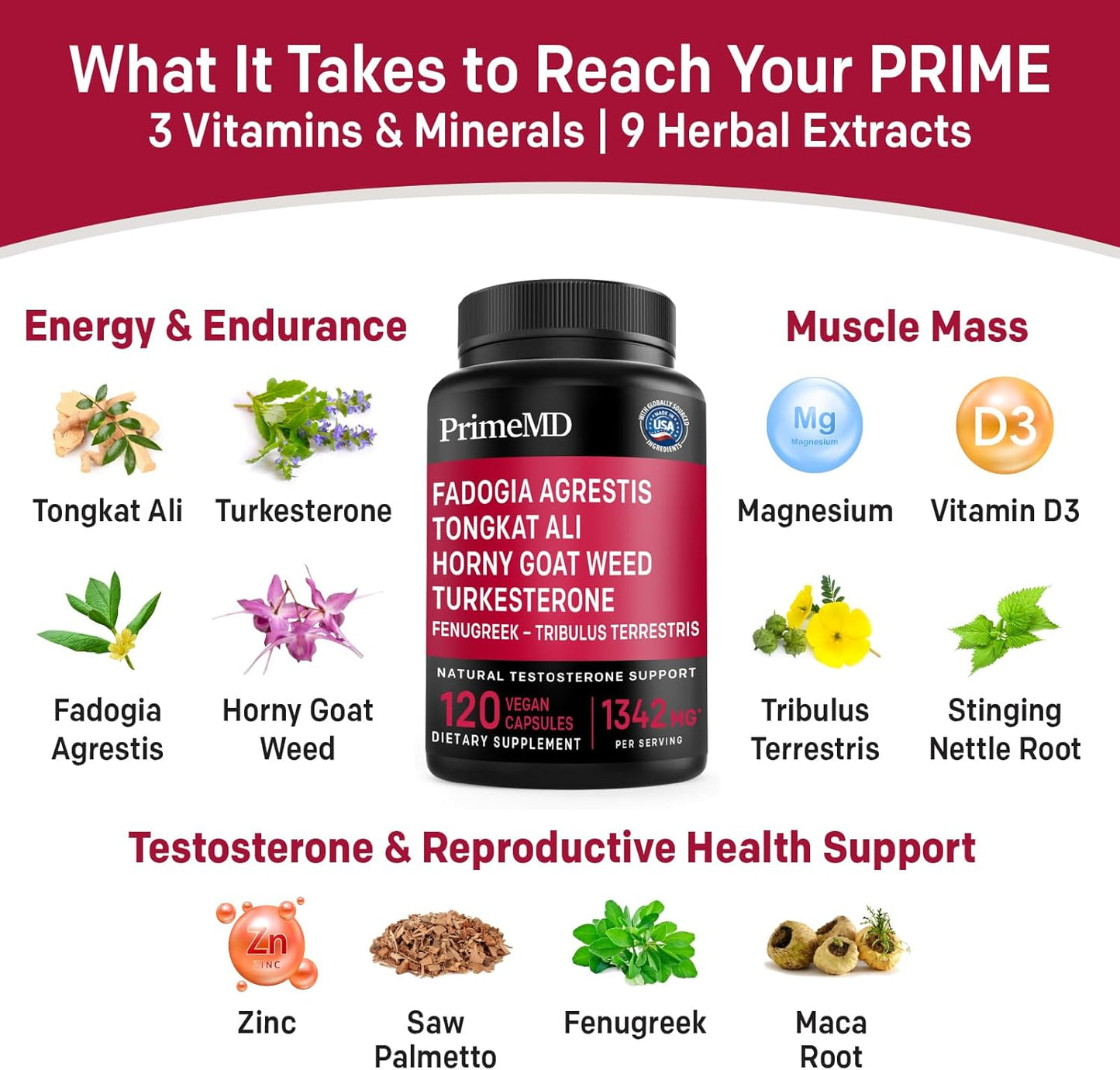 Heart, Energy, & Immune Support Bundle - PrimeMD Ceylon Cinnamon, Fadogia Tongkat Ali, and Nitric Oxide Supplements - Non-GMO & Vegan